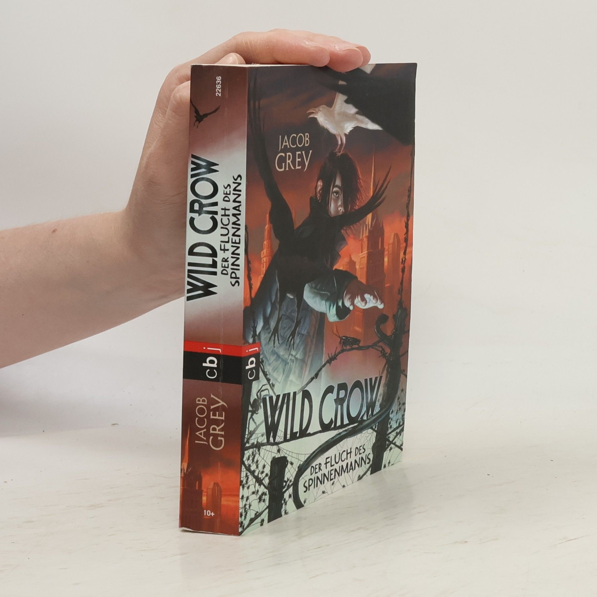 Jacob Grey Wild crow - der Fluch des Spinnenmanns