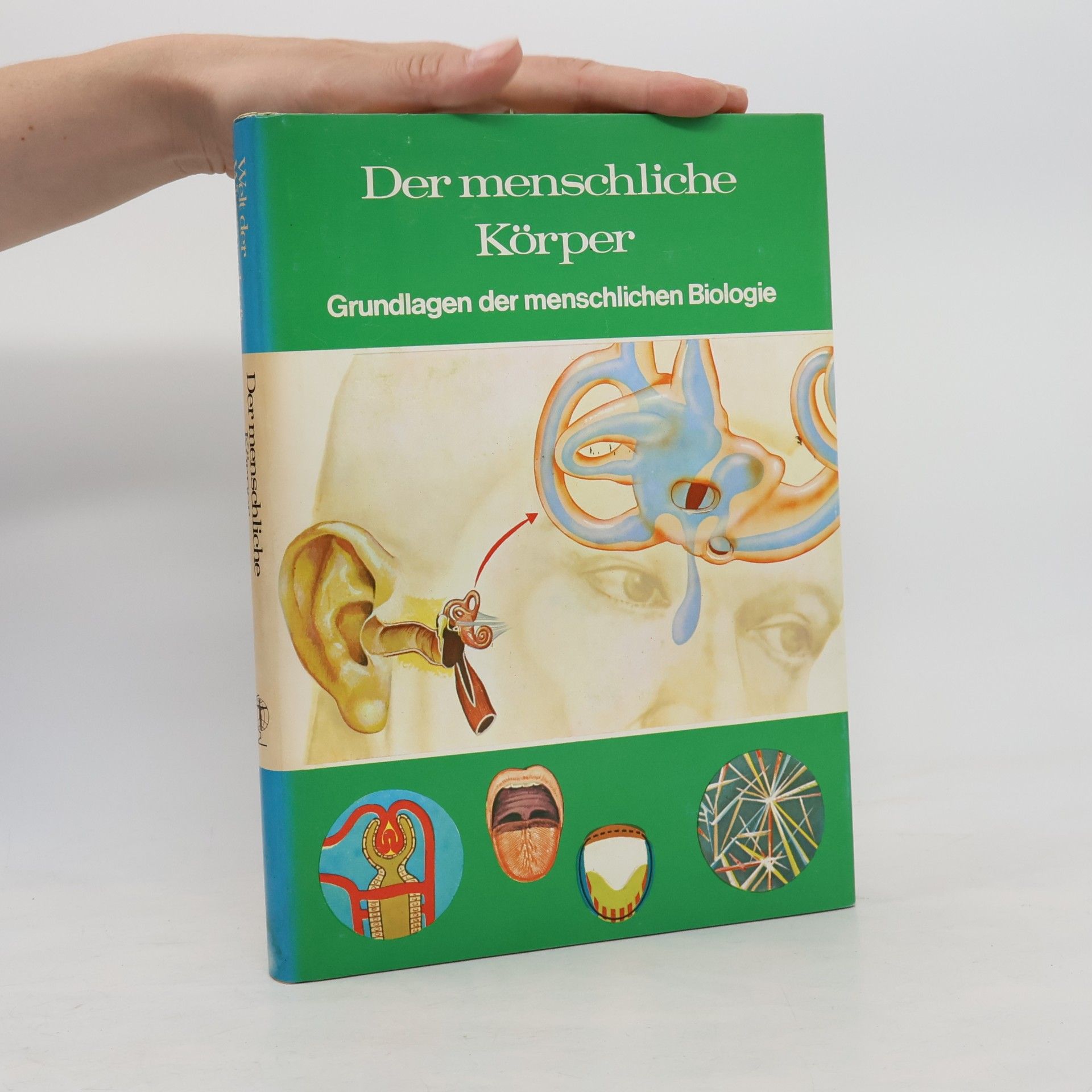 Der menschliche Körper. Grundlagen der menschlichen Biologie