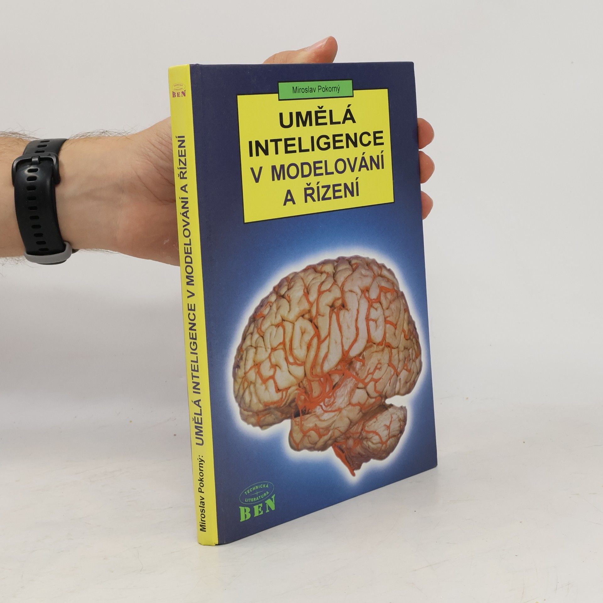 Miroslav Pokorný Umělá inteligence v modelování a řízení