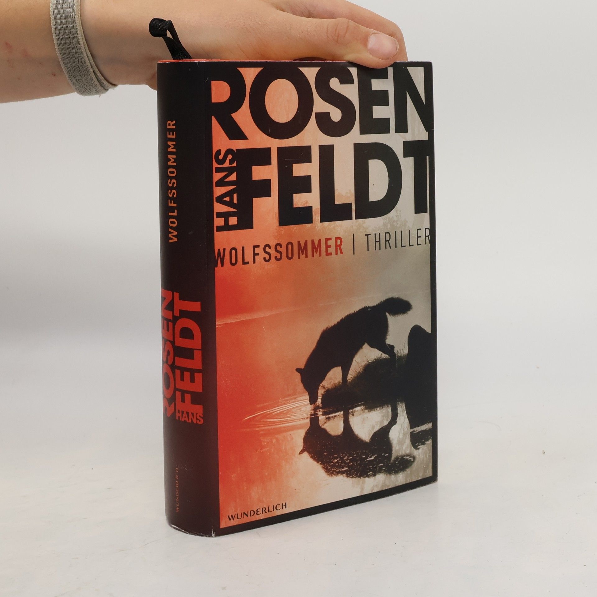 Hans Rosenfeldt Wolfssommer