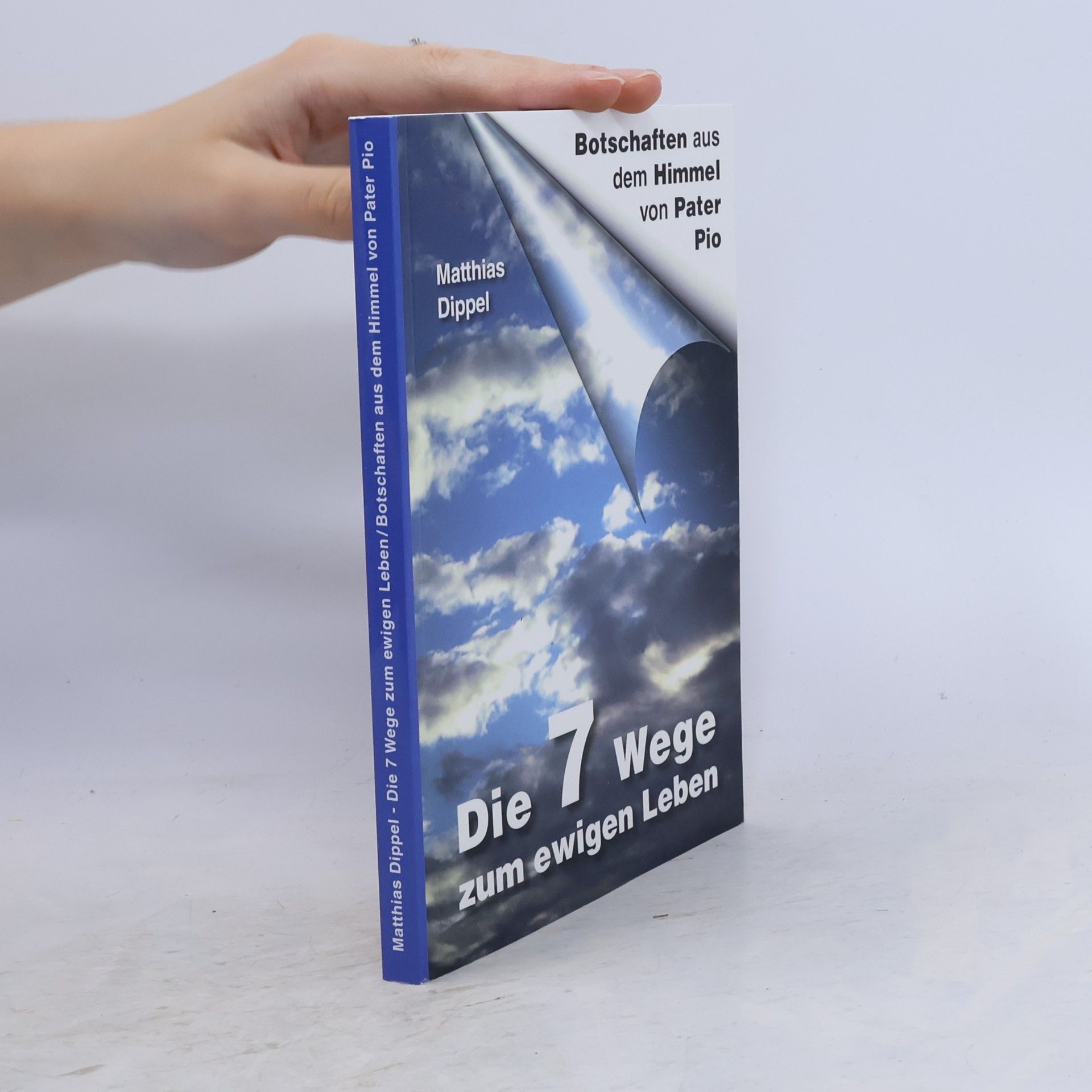 Matthias Dippel Die 7 Wege zum ewigen Leben