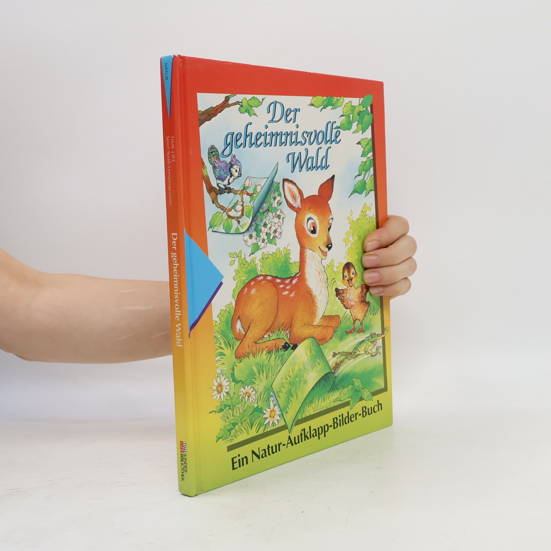 Marianne Tölle Der geheimnisvolle Wald