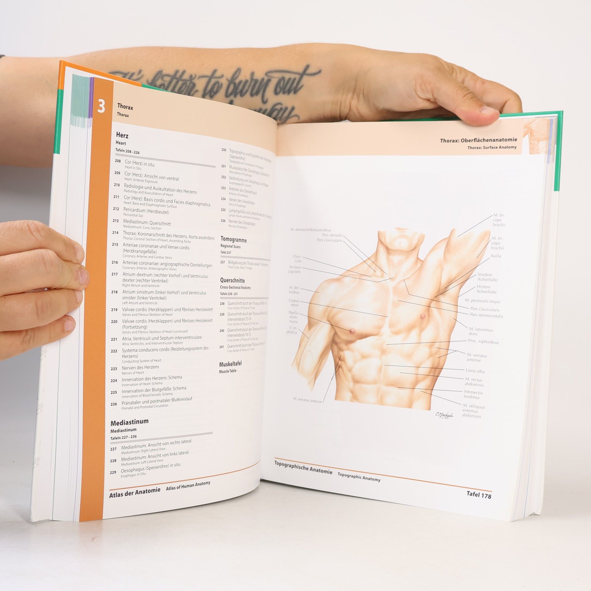 Frank H. Netter Atlas der Anatomie