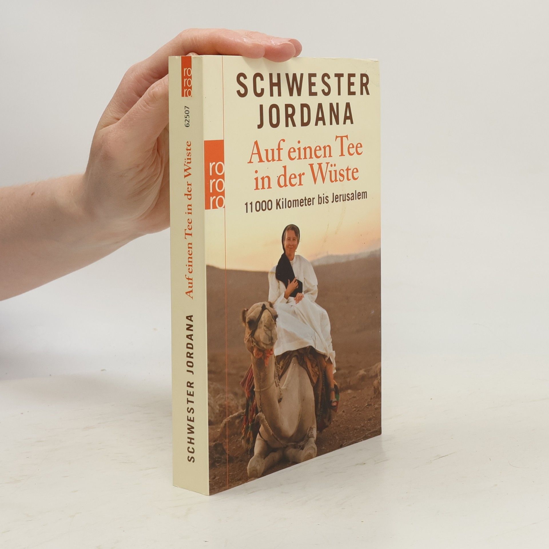 Iris Rohmann Auf einen Tee in der Wüste
