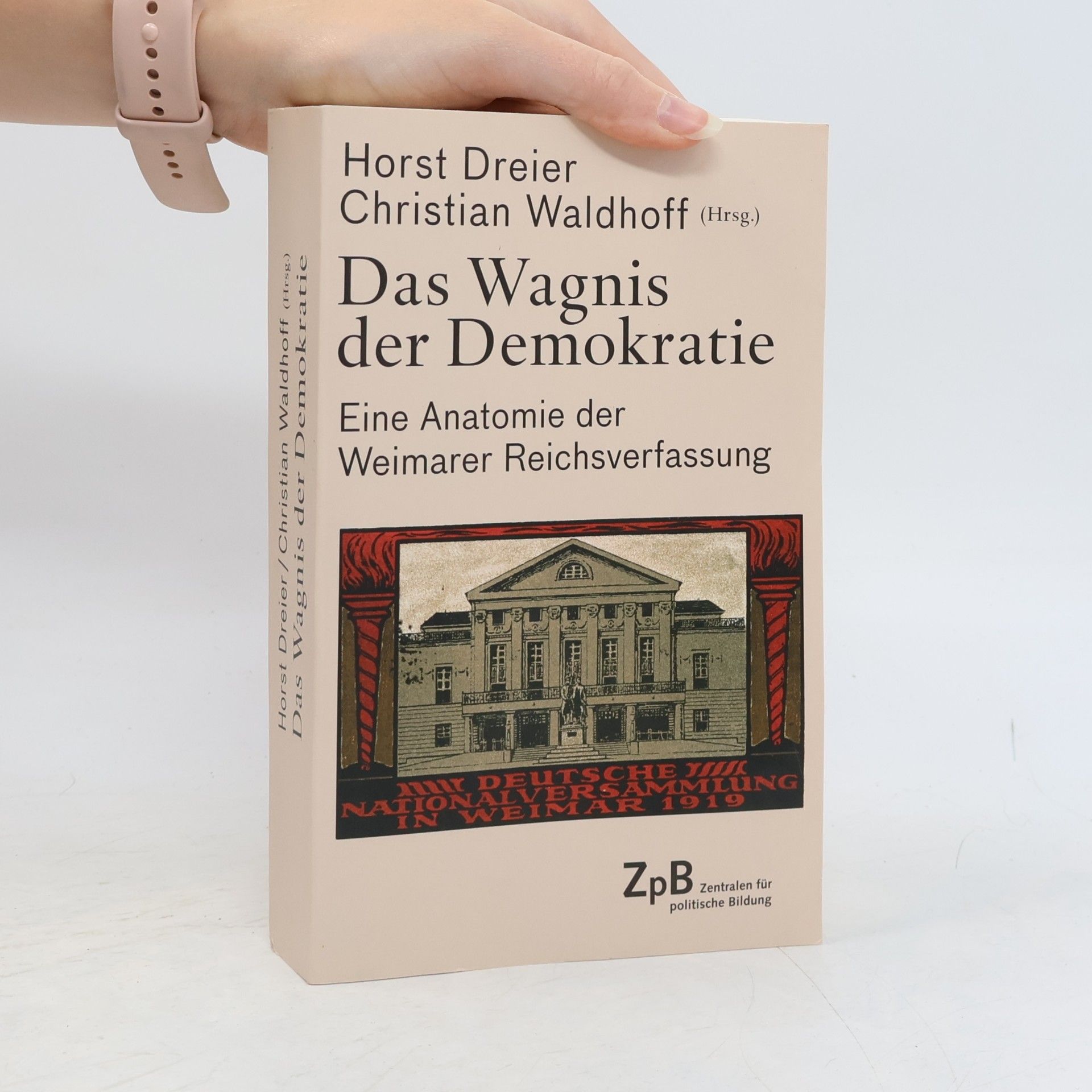 Horst Dreier Das Wagnis der Demokratie
