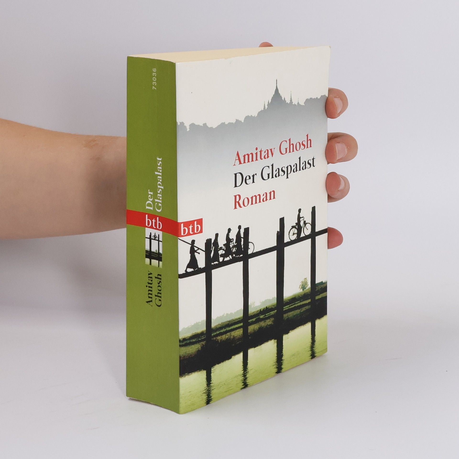 Amitav Ghosh Der Glaspalast