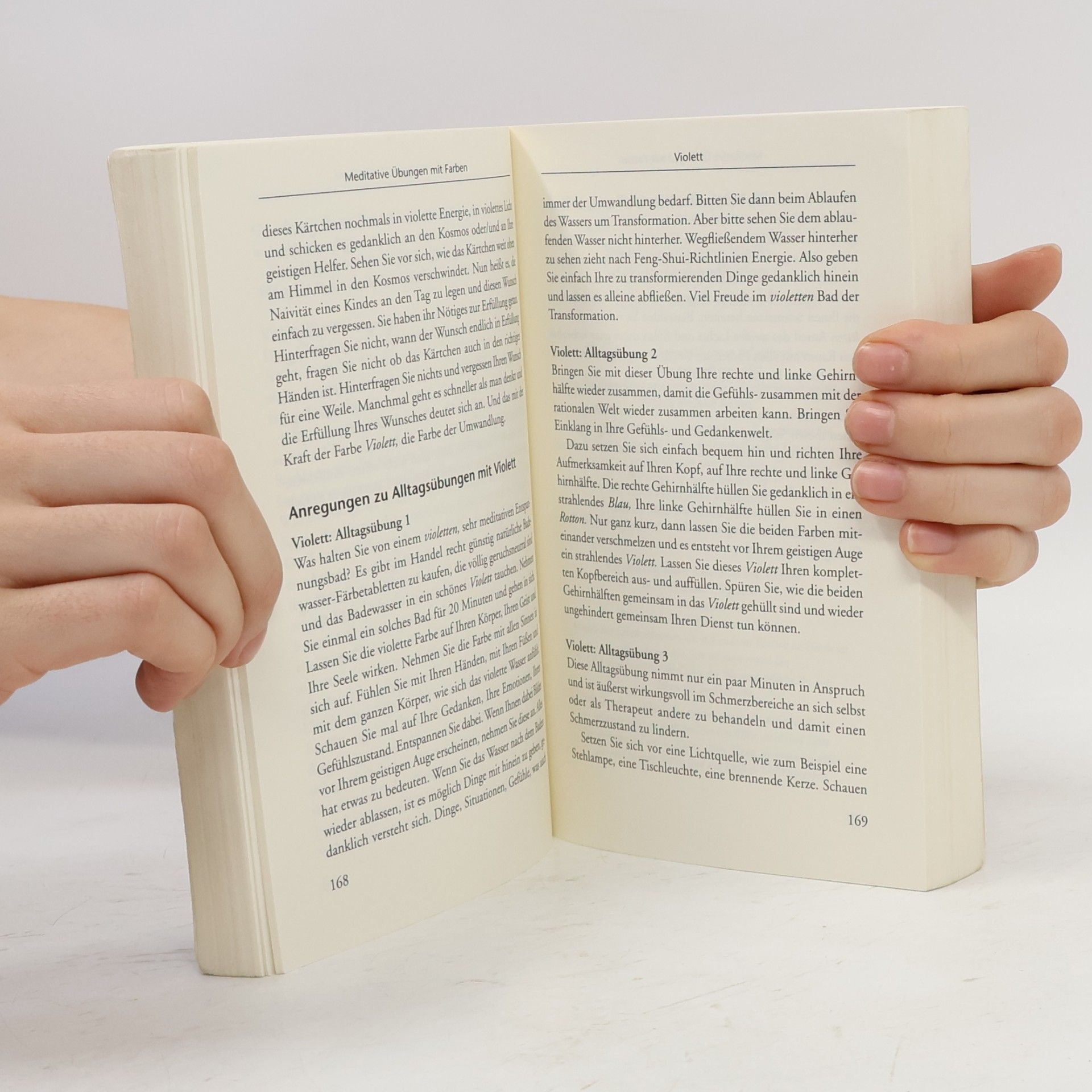 Jürgen Pfaff Handbuch der heilenden Farben