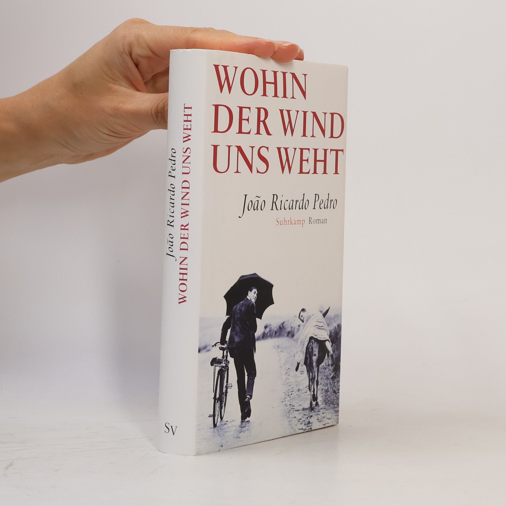 João Ricardo Pedro Wohin der Wind uns weht