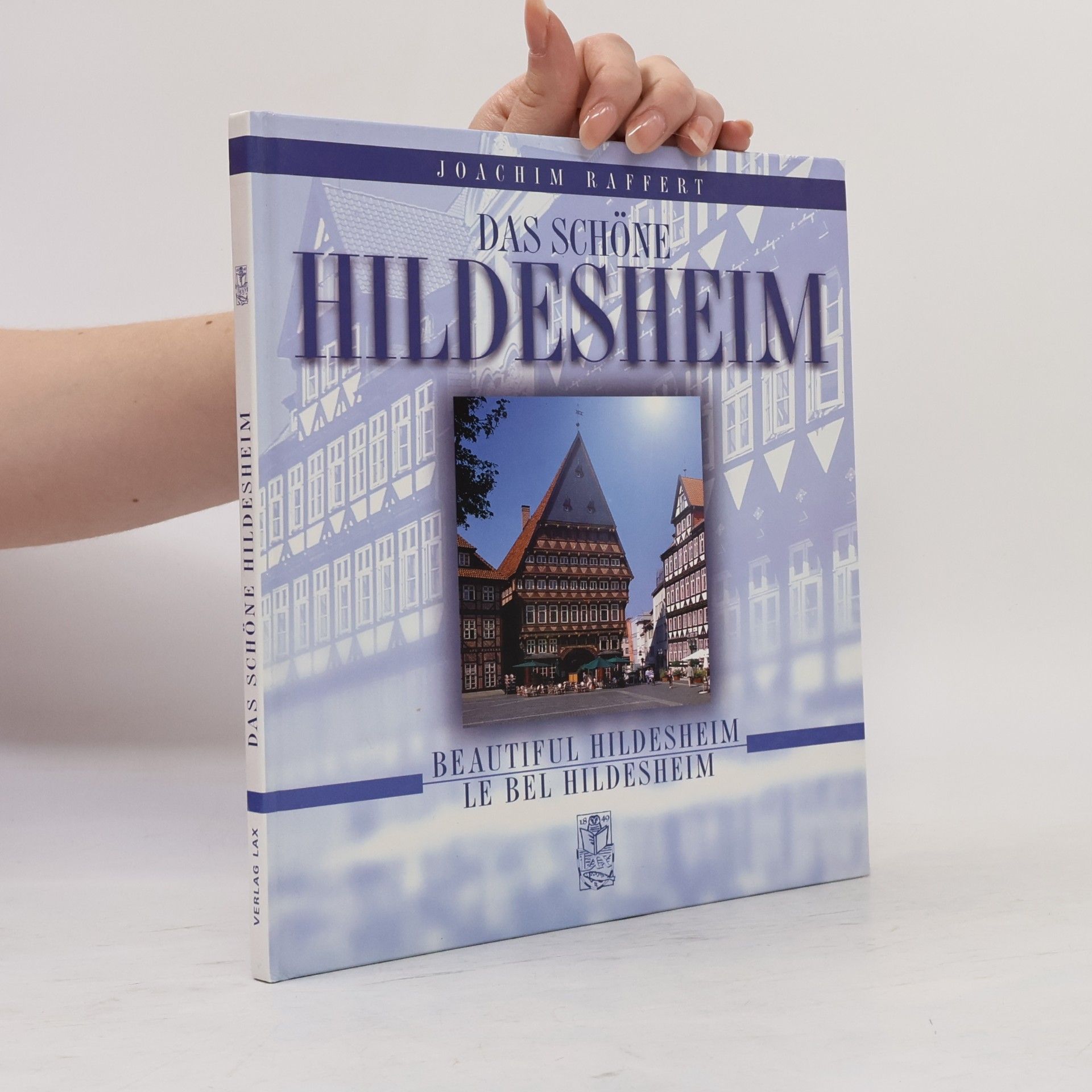 Joachim Raffert Das schöne Hildesheim