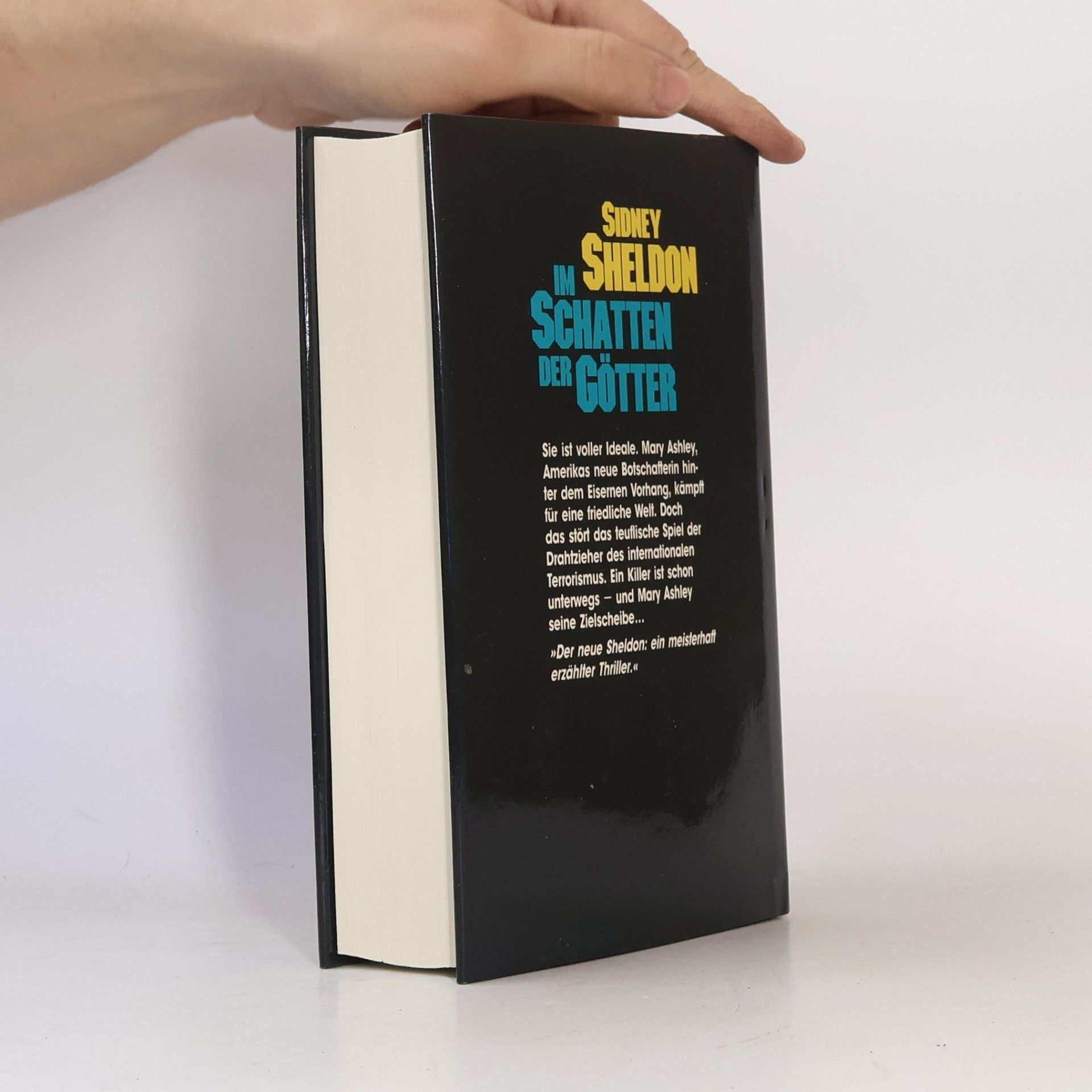 Sidney Sheldon Im Schatten der Götter