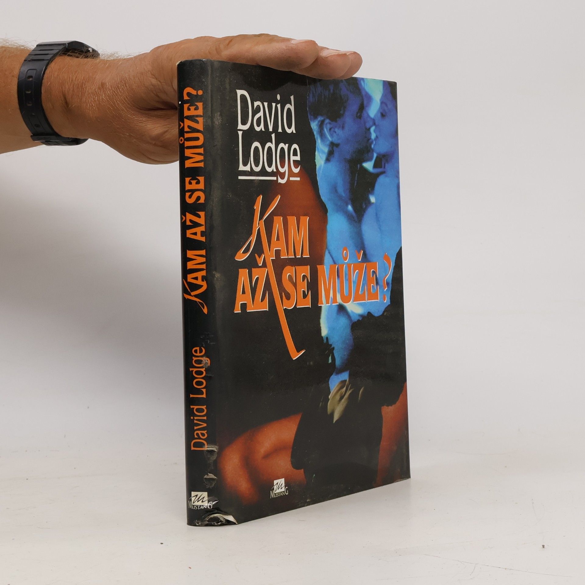David Lodge Kam až se může?