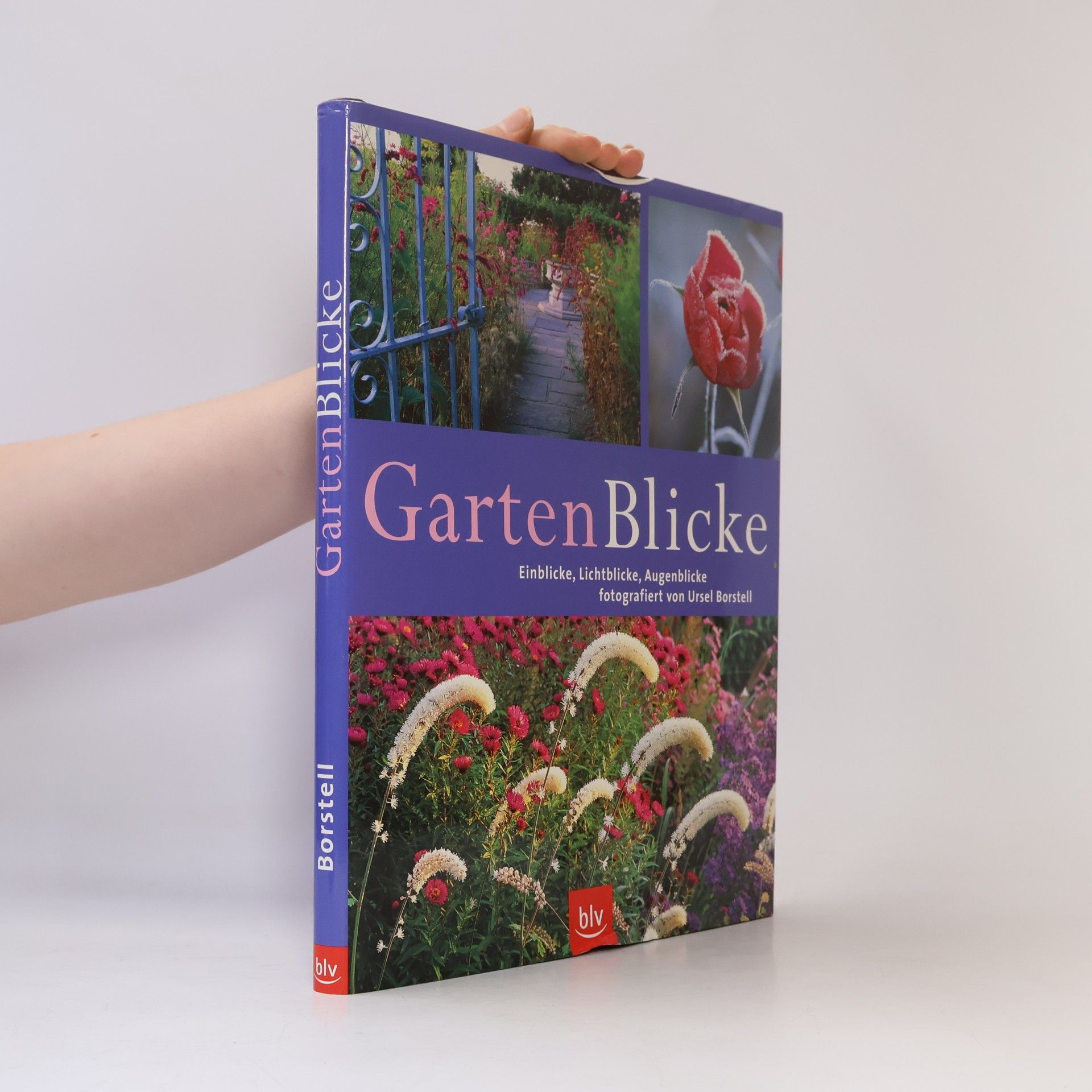 Silke Kluth GartenBlicke