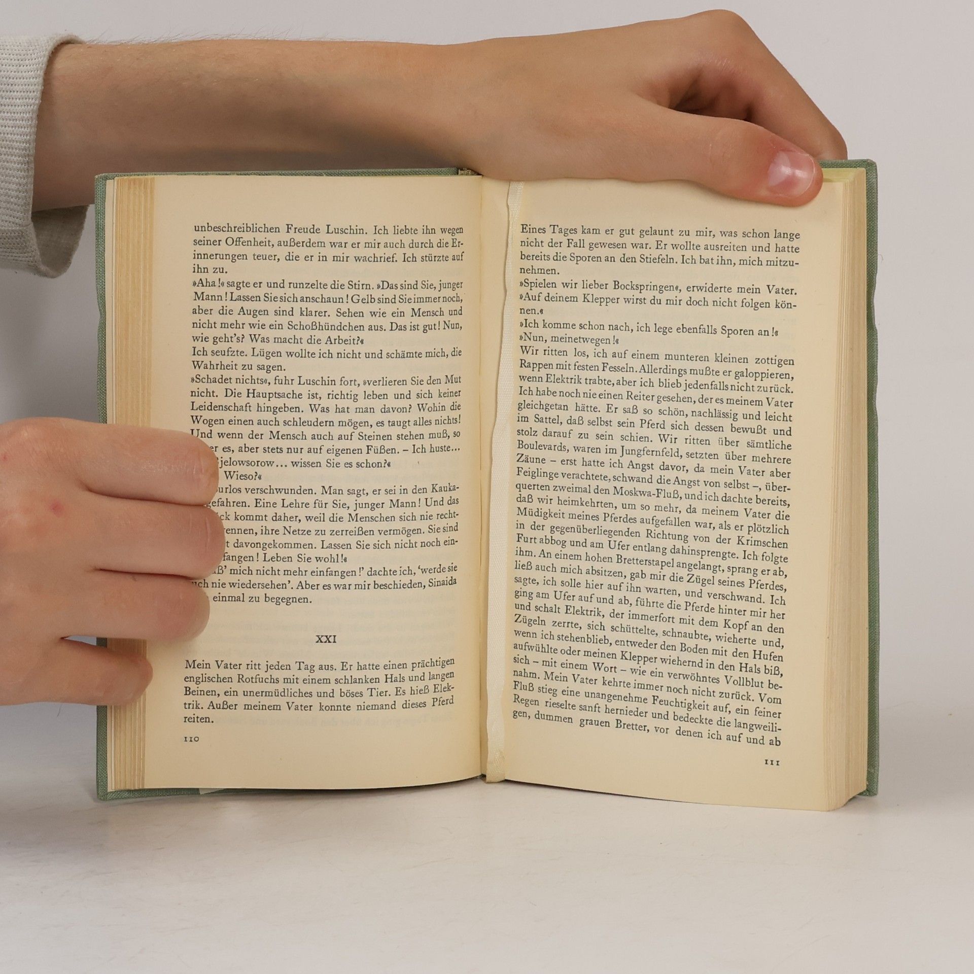 Iwan Turgenjew Erste Liebe und andere Novellen
