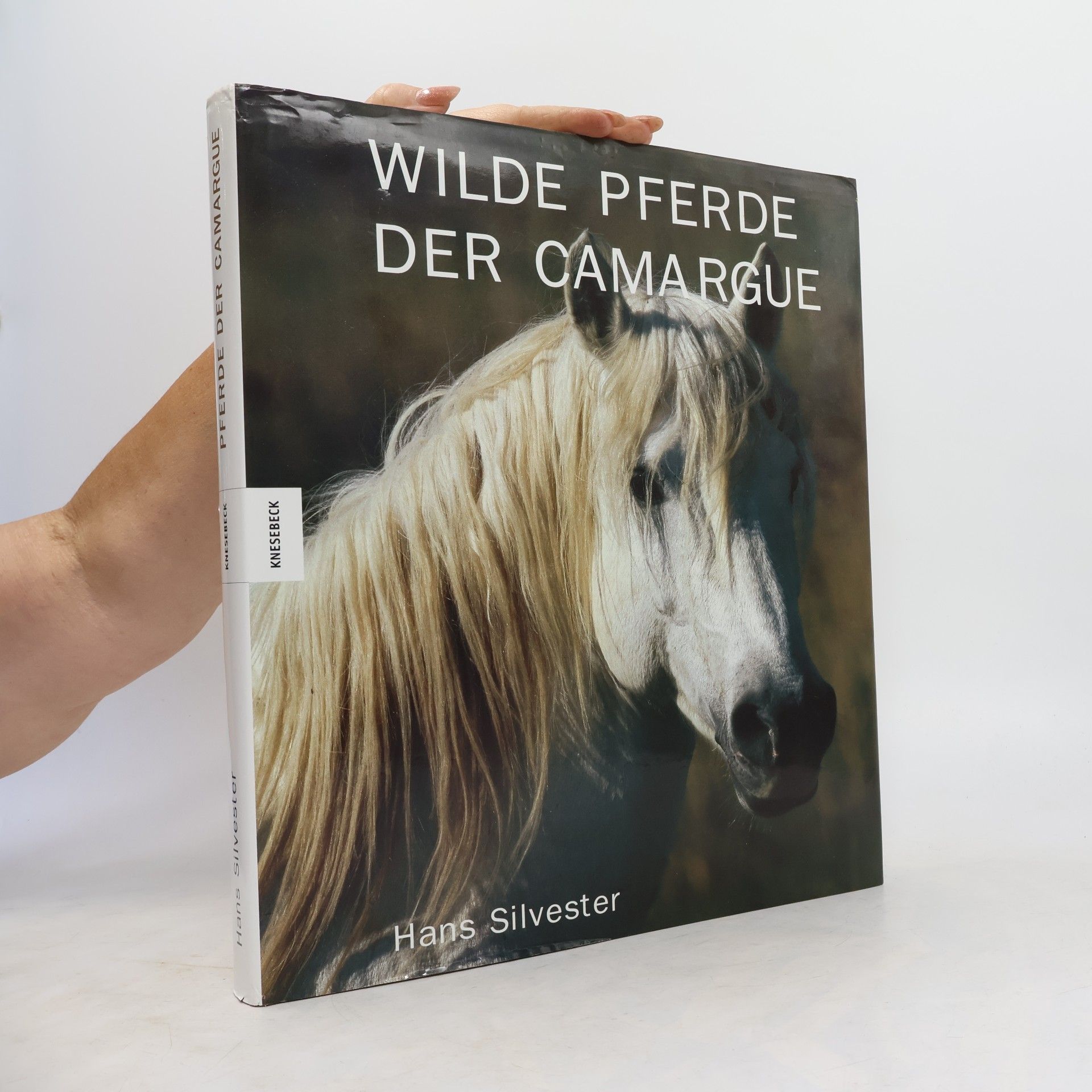 Hans Silvester Wilde Pferde der Camargue