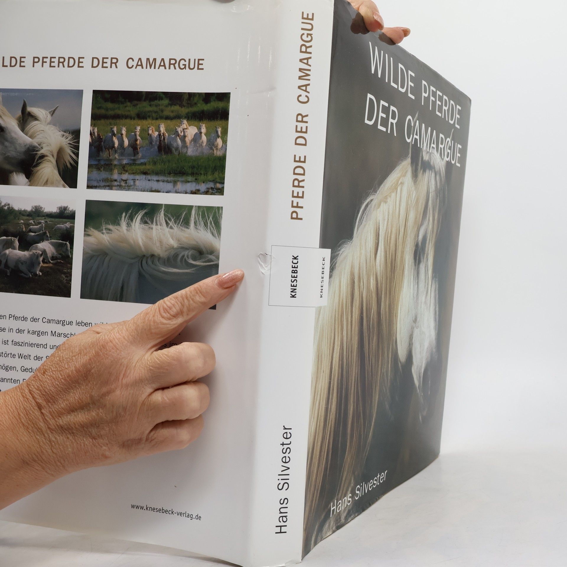 Hans Silvester Wilde Pferde der Camargue