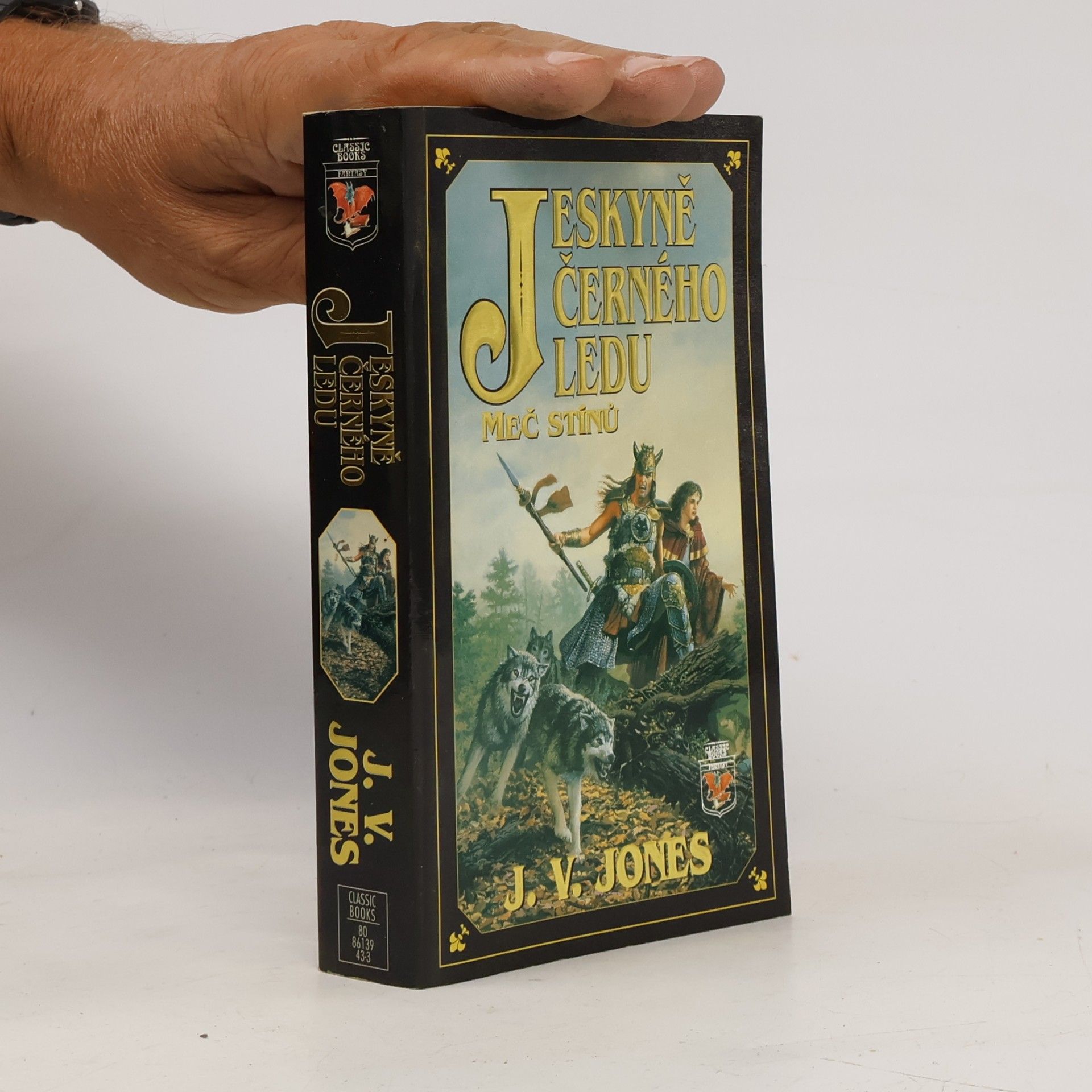 Julie V. Jones Jeskyně černého ledu I: Meč stínů