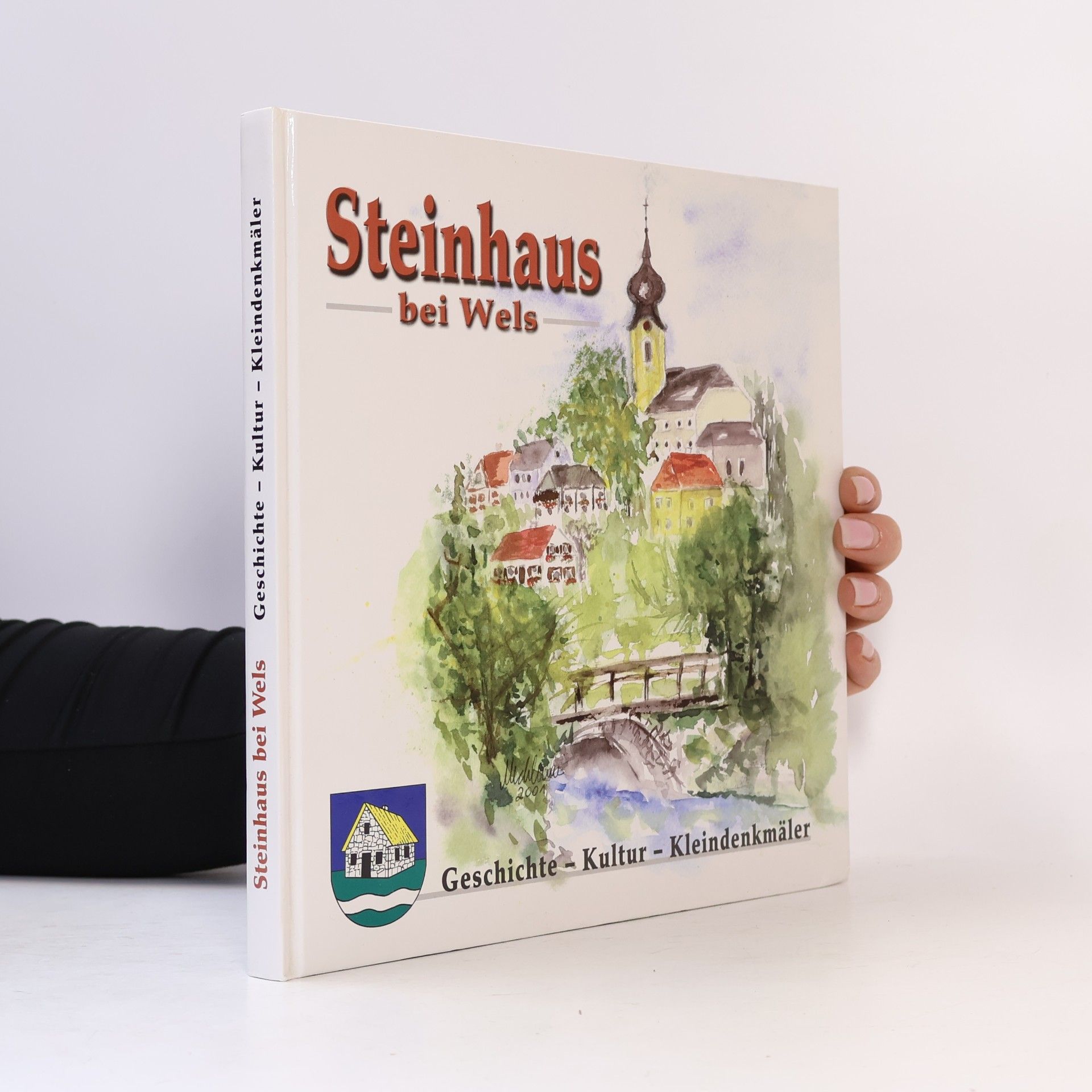 Kolektiv autorů Steinhaus bei Wels