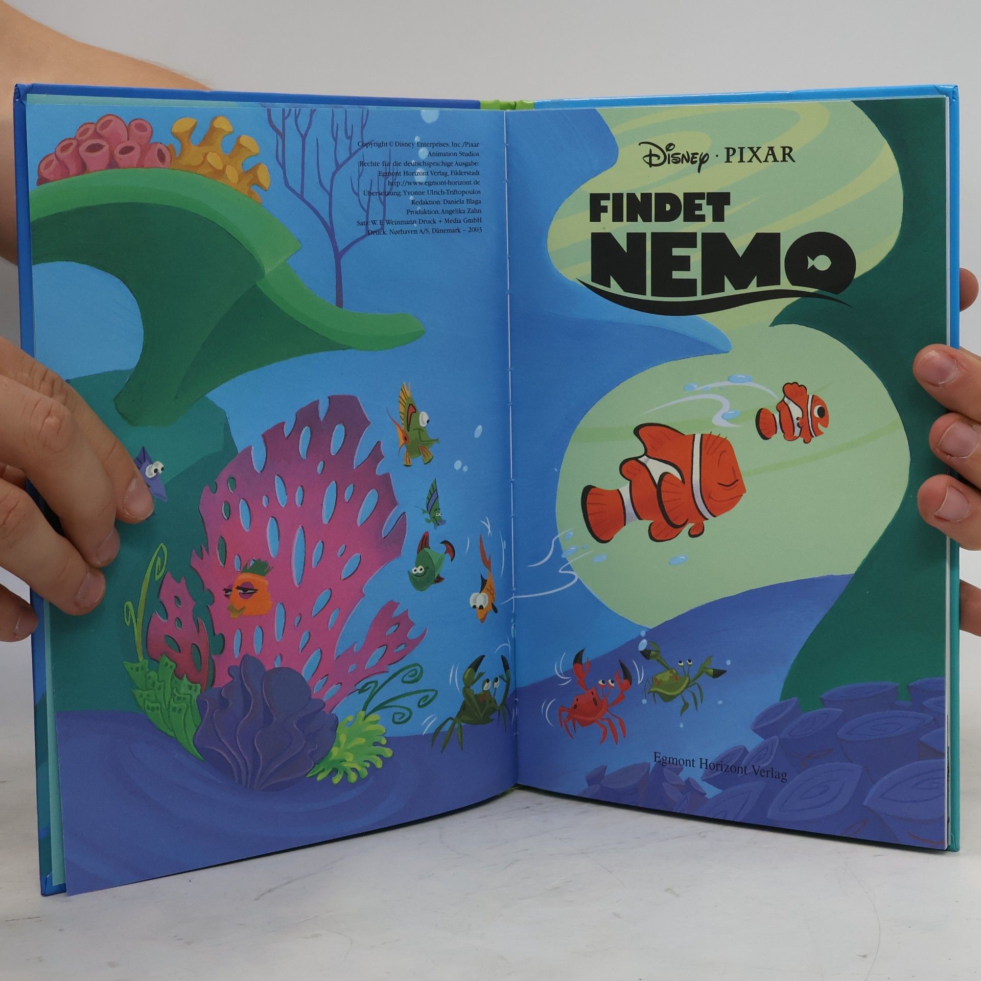 kolektiv Findet Nemo