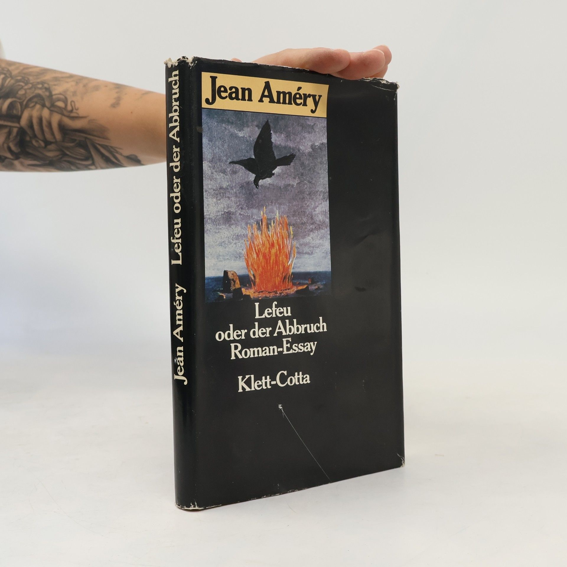Jean Améry Lefeu oder Der Abbruch. Roman-Essay