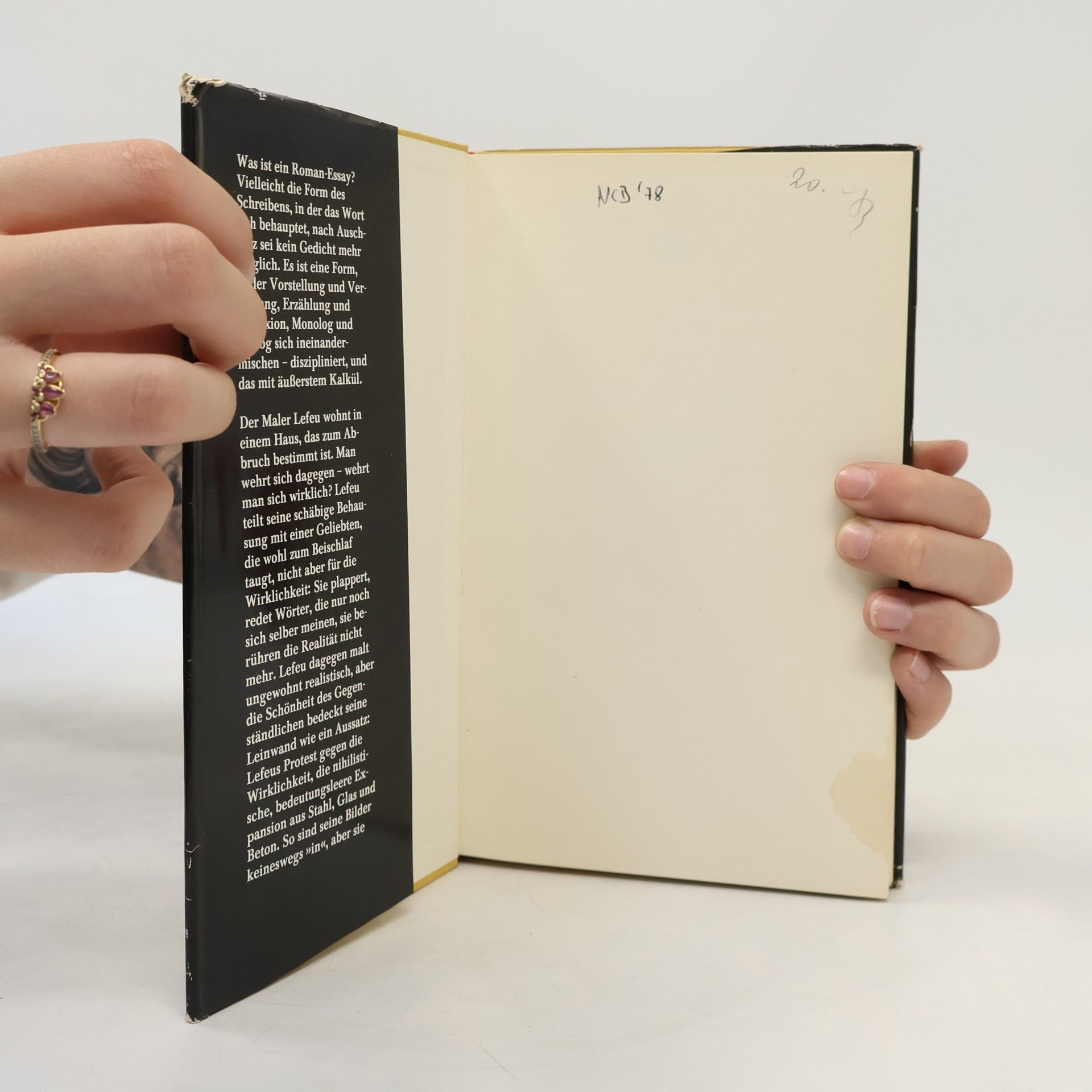 Jean Améry Lefeu oder Der Abbruch. Roman-Essay