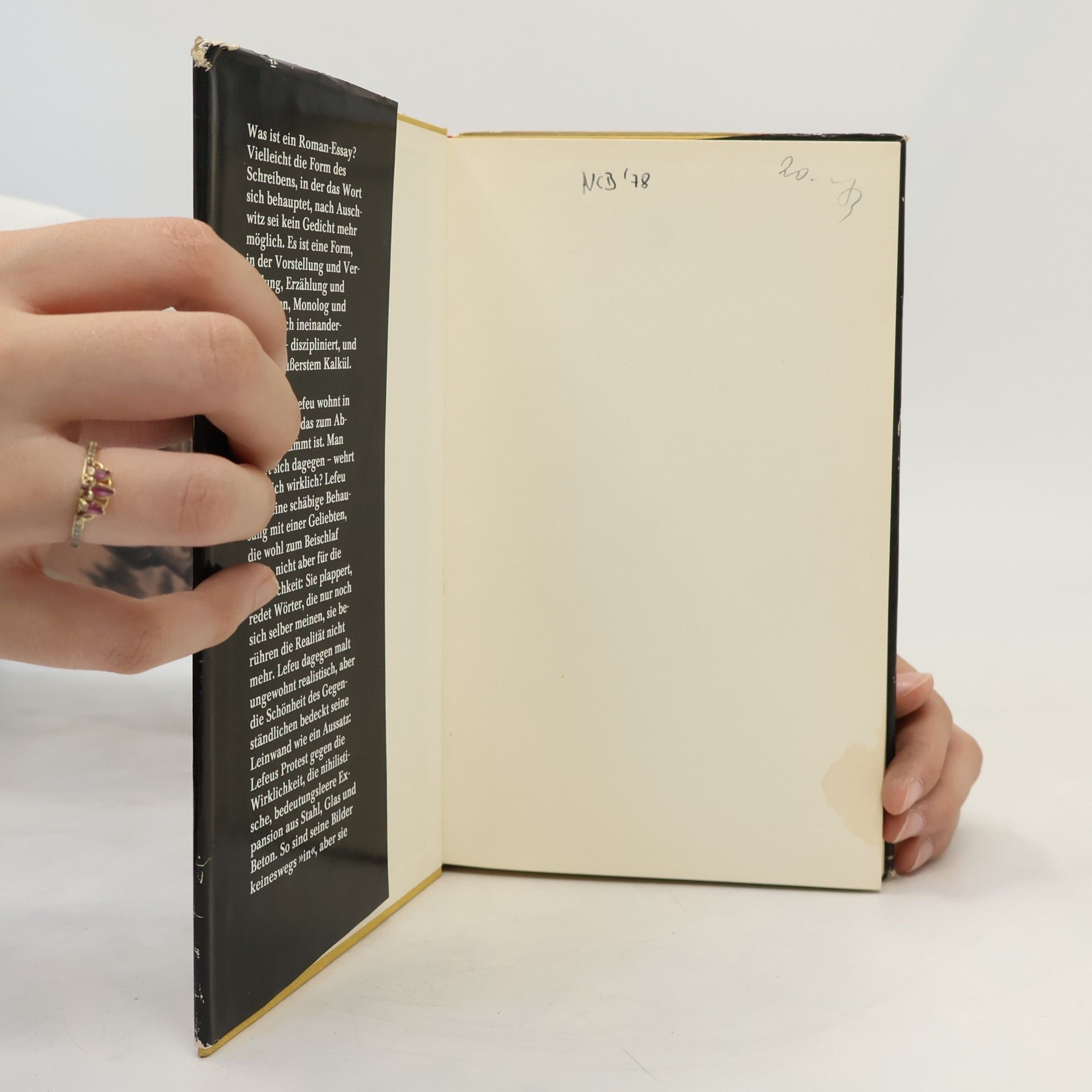 Jean Améry Lefeu oder Der Abbruch. Roman-Essay