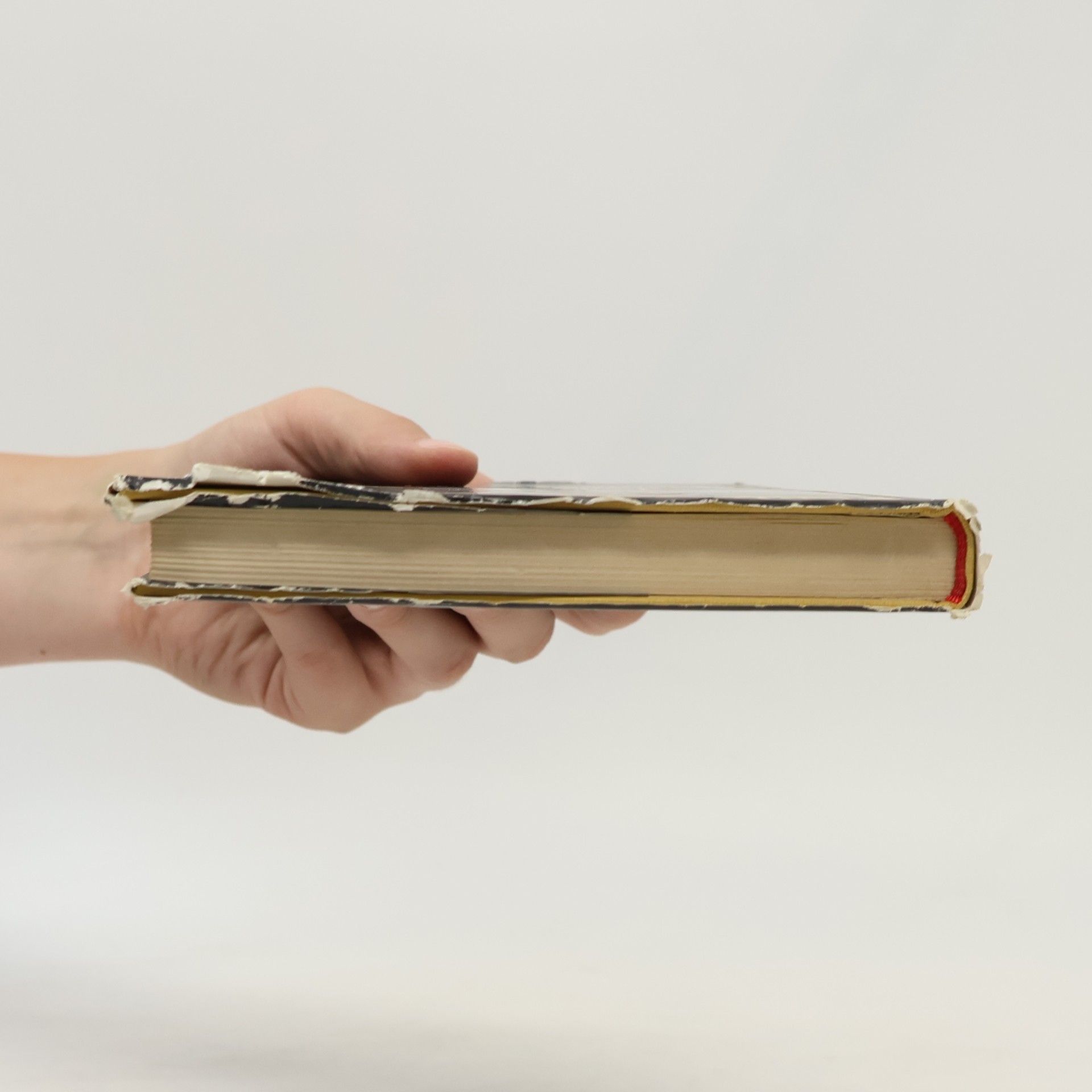 Jean Améry Lefeu oder Der Abbruch. Roman-Essay