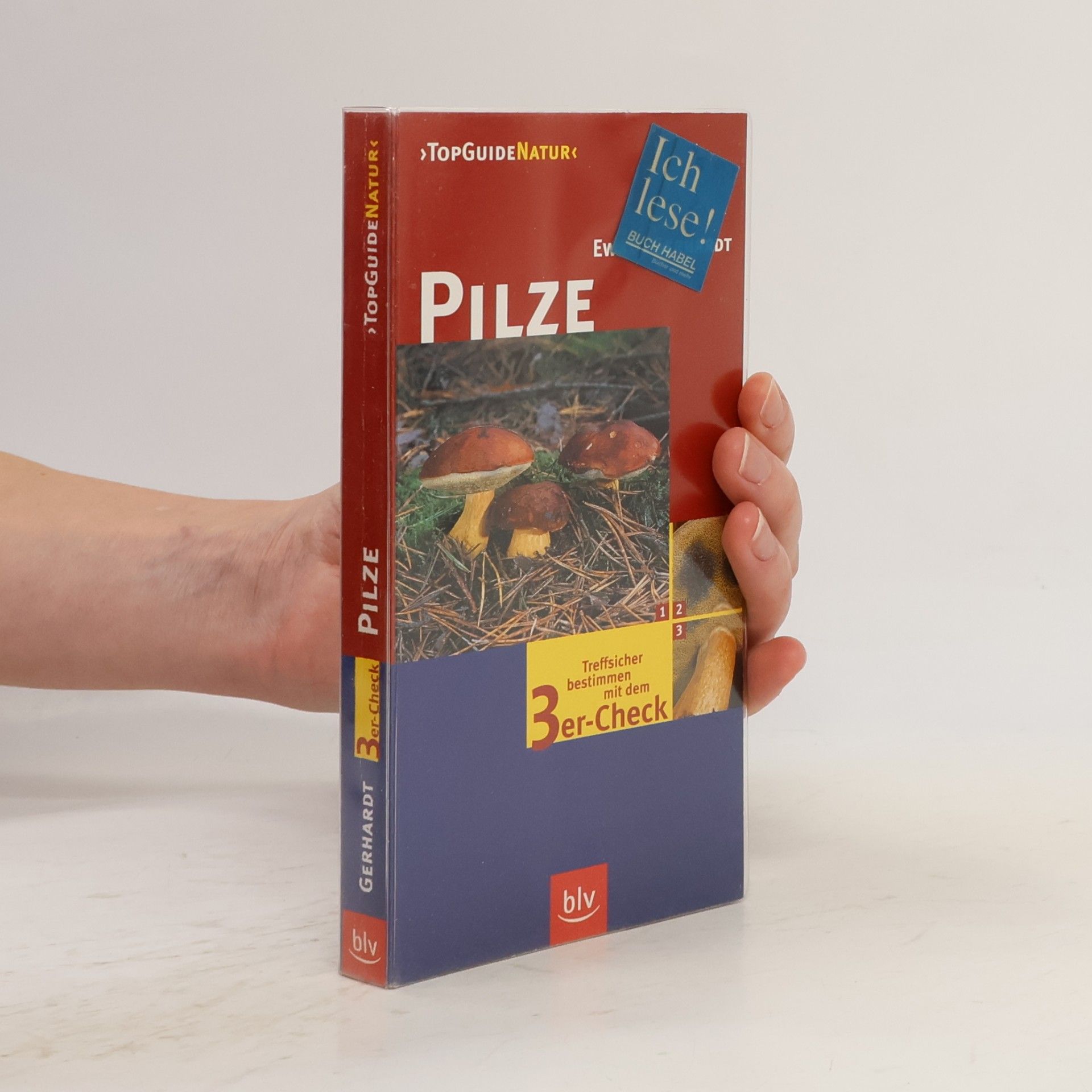 Ewald Gerhardt Pilze