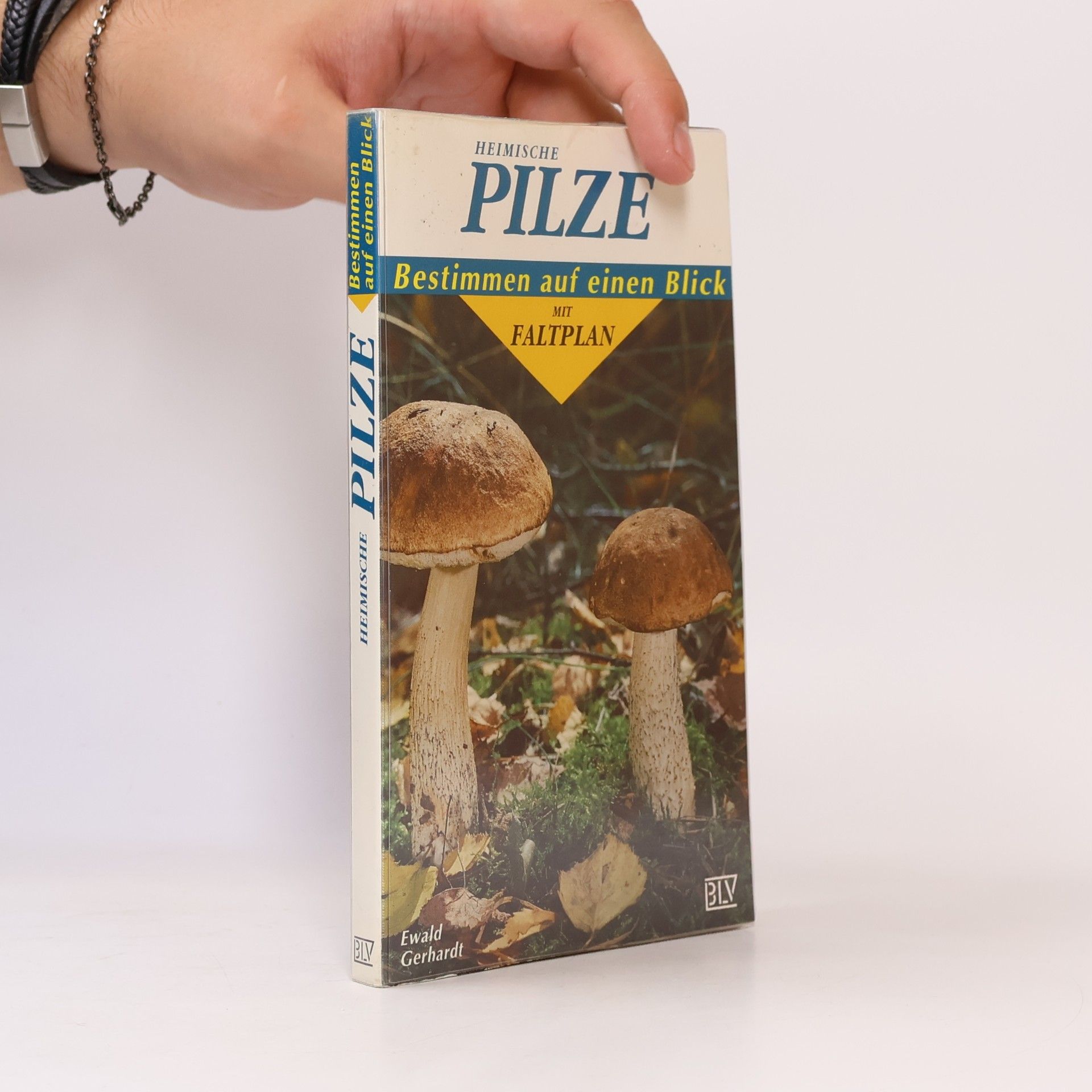 Ewald Gerhardt Heimische Pilze : Bestimmen auf einen Blick mit Faltplan
