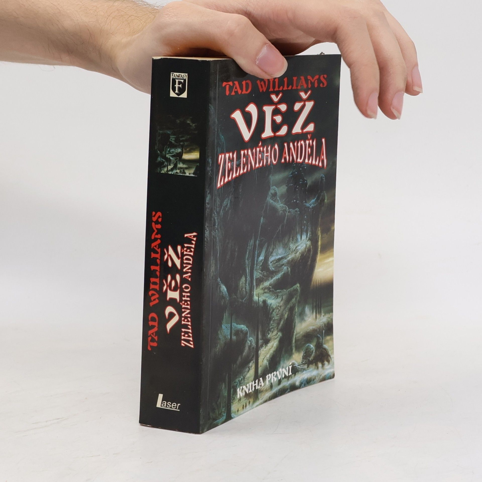 Tad Williams Věž Zeleného anděla