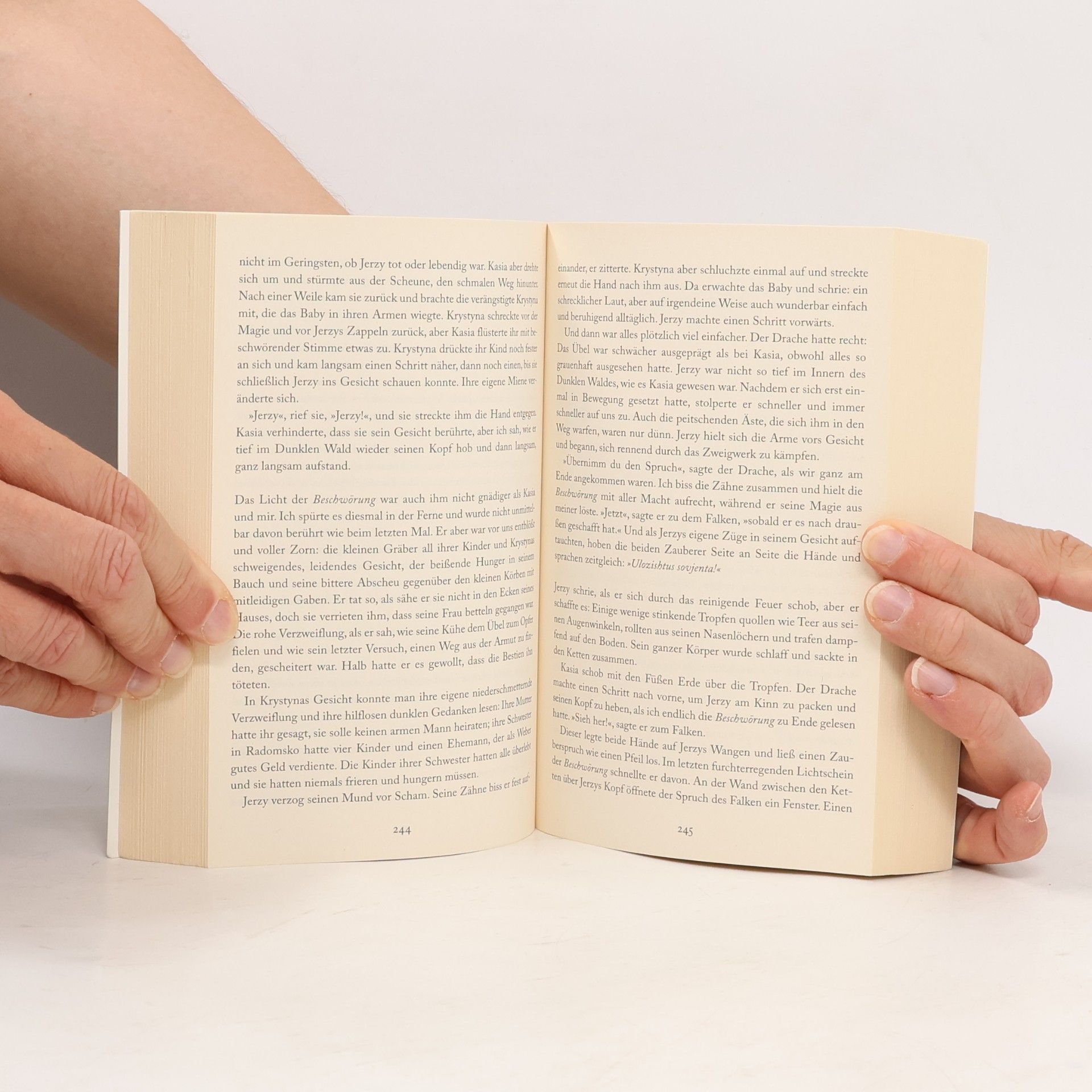 Naomi Novik Das dunkle Herz des Waldes