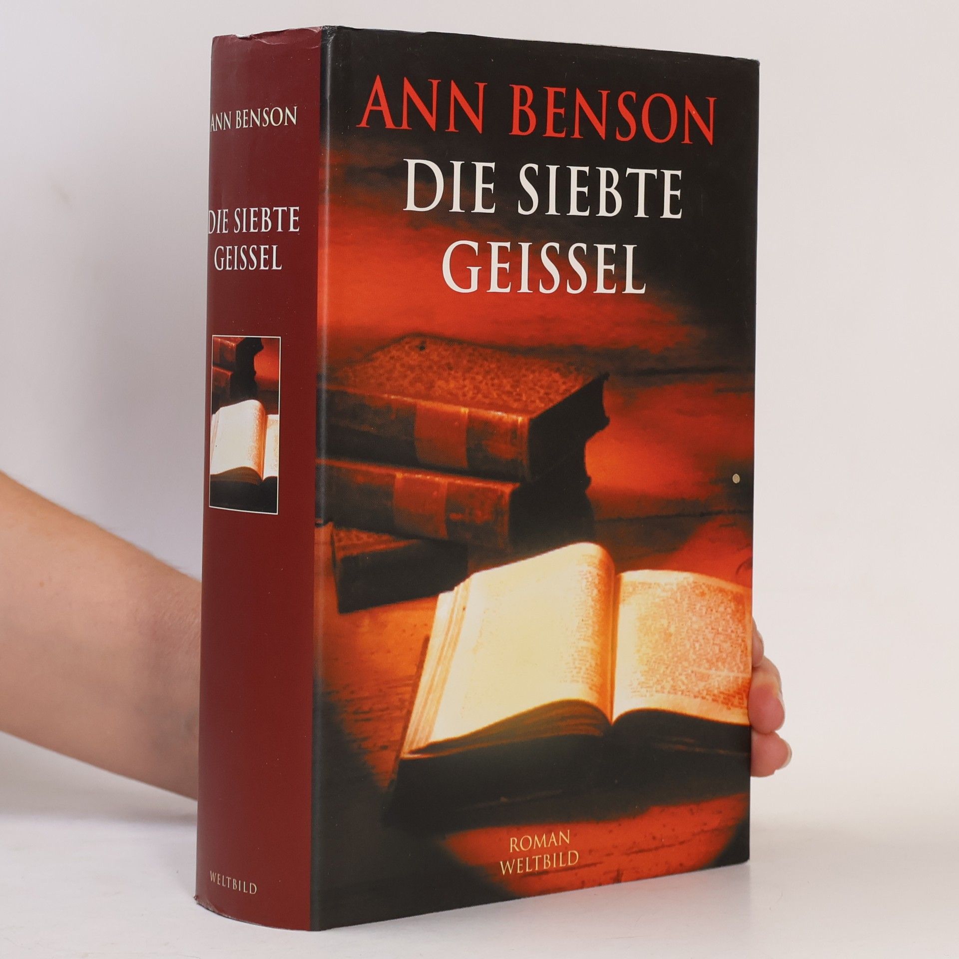 Die siebte Geissel