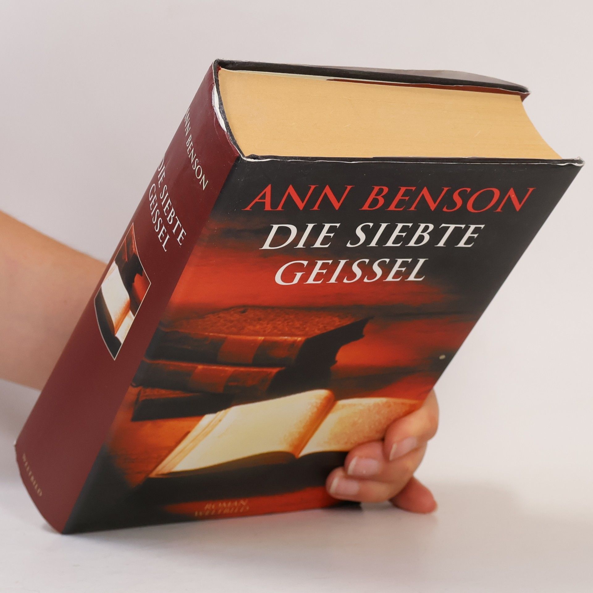 Ann Benson Die siebte Geissel