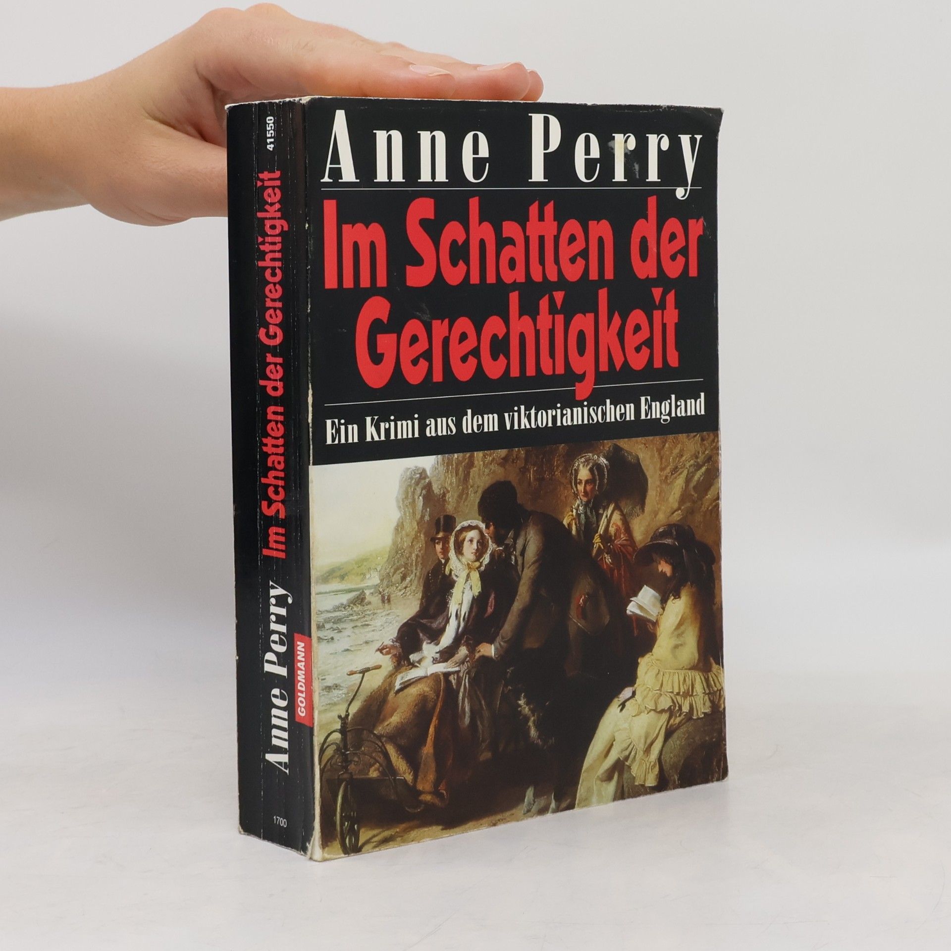 Anne Perry Im Schatten der Gerechtigkeit