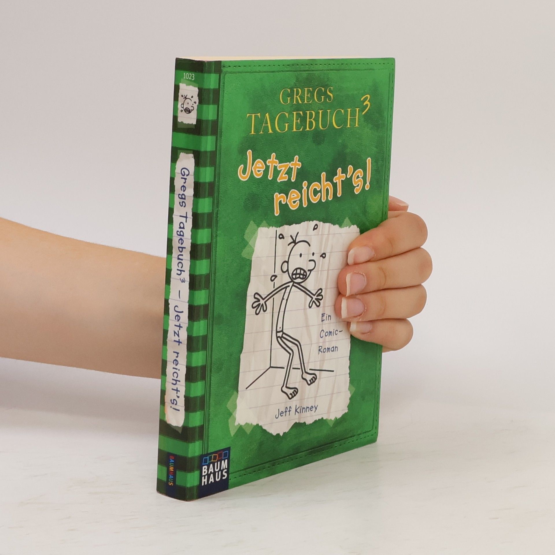 Jeff Kinney Gregs Tagebuch 3. Jetzt reicht's!