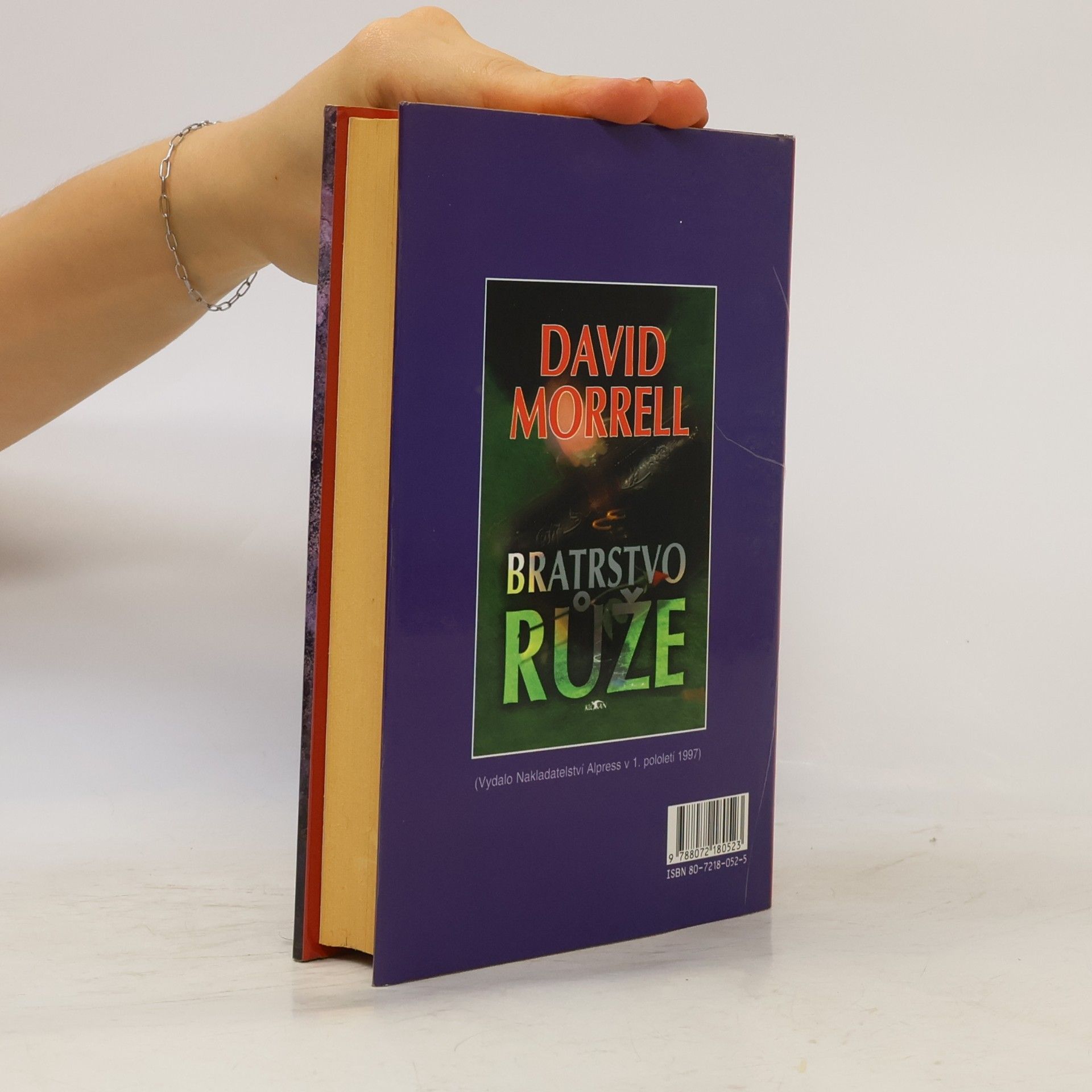 David Morrell Bratrstvo kamene
