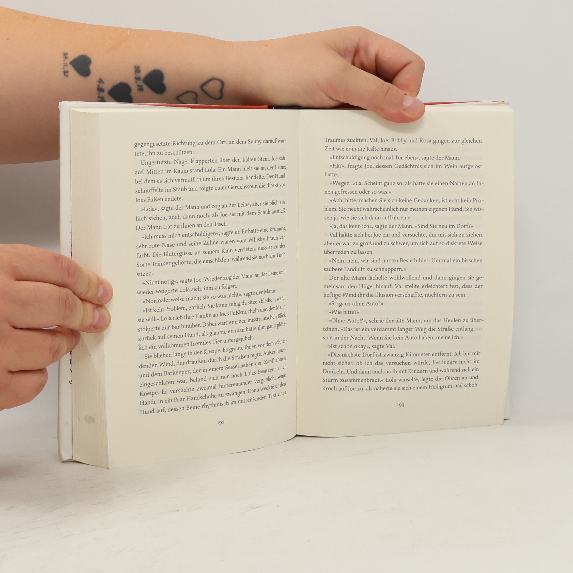 David Whitehouse Die Reise mit der gestohlenen Bibliothek