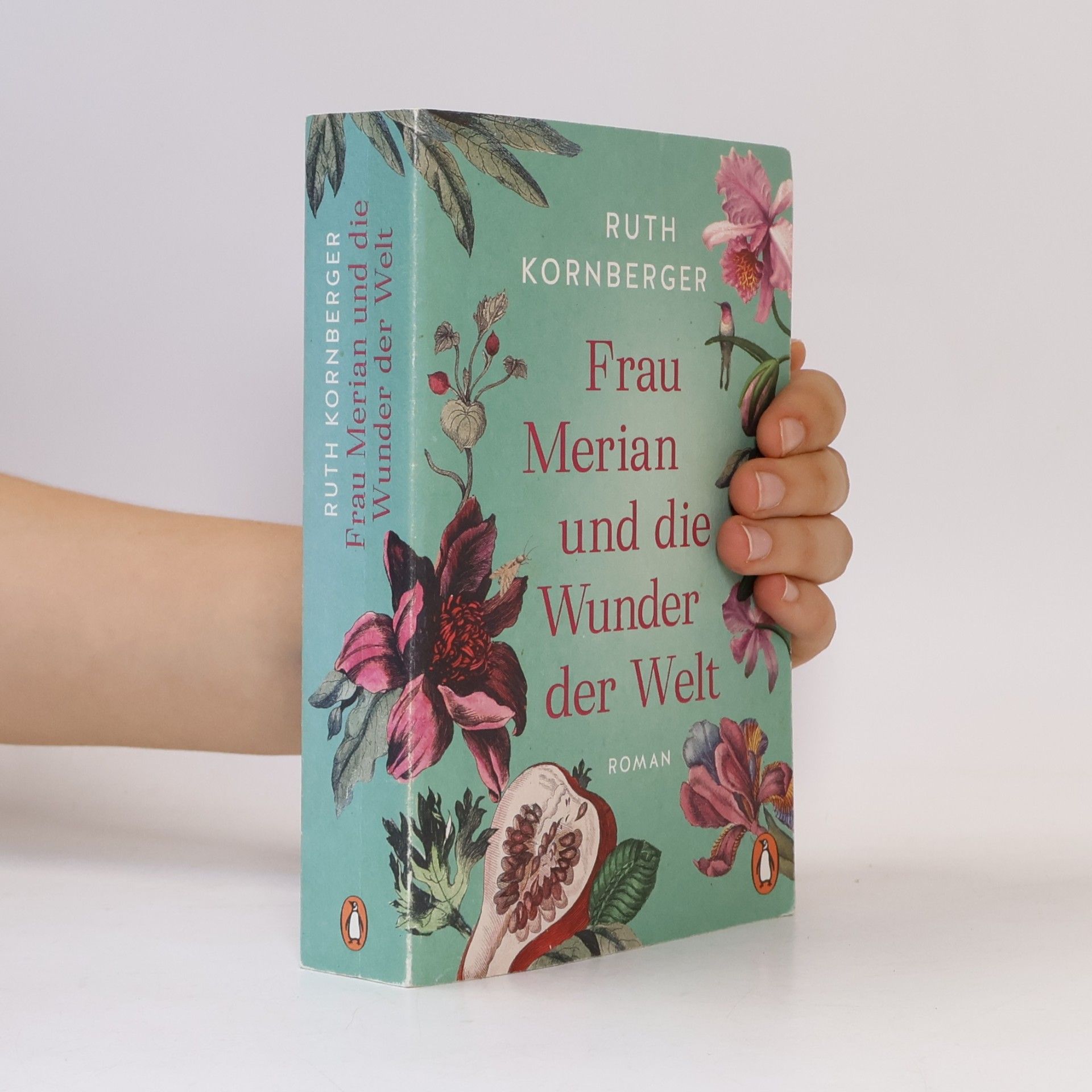 Ruth Kornberger Frau Merian und die Wunder der Welt