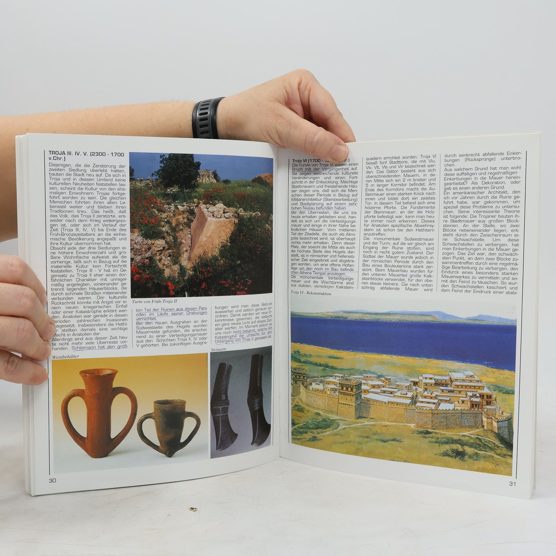 Various authors Eine Revidierte Ausgabe. Troja