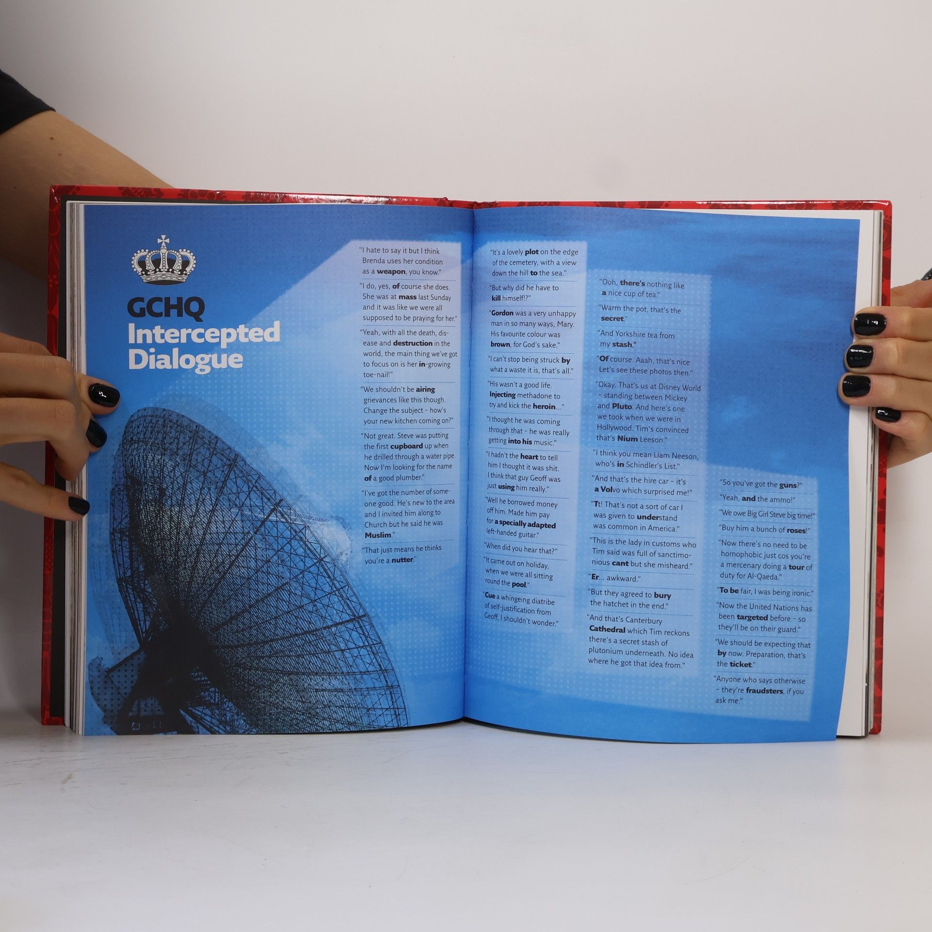 David Mitchell This Mitchell and Webb Book