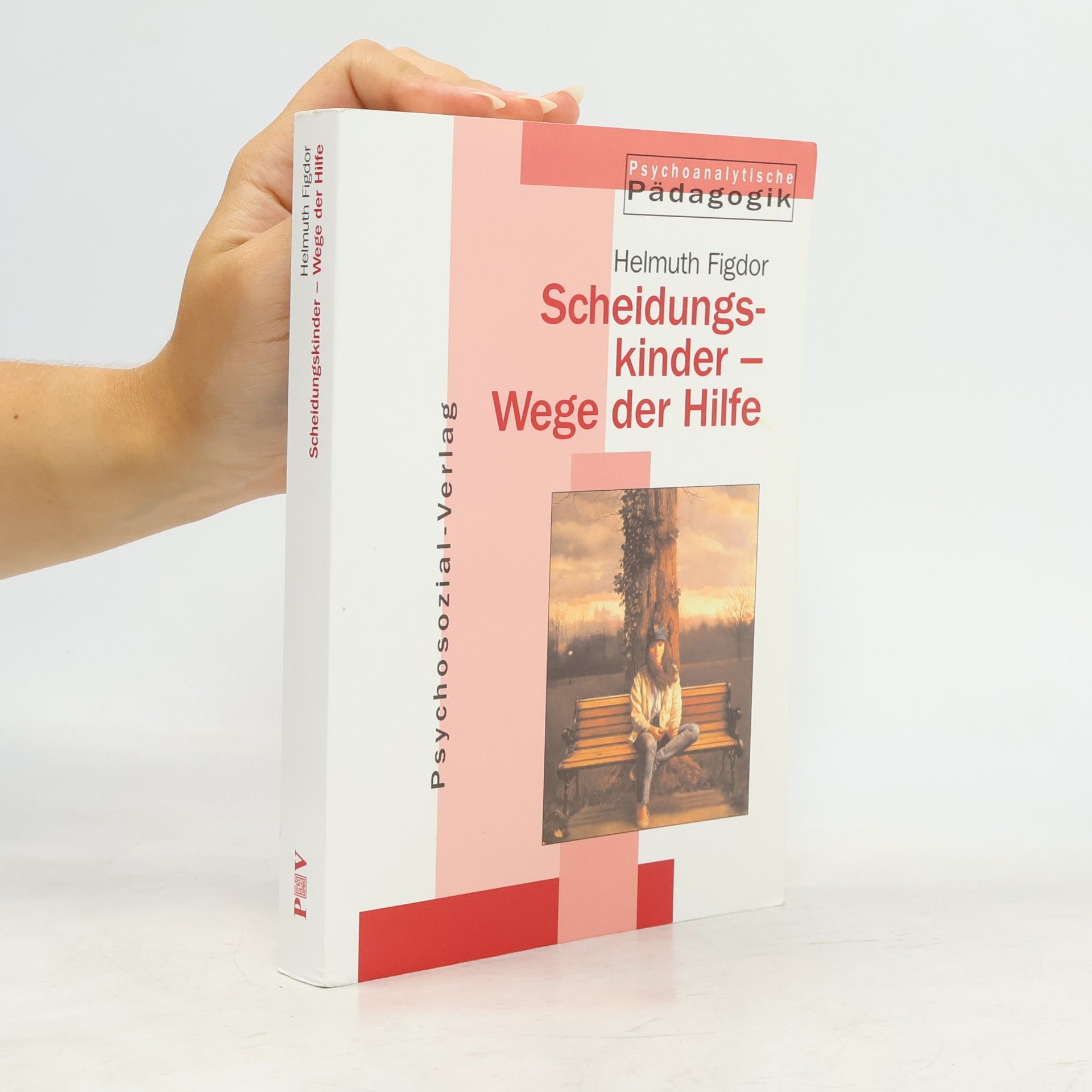 Helmuth Figdor Scheidungskinder - Wege der Hilfe