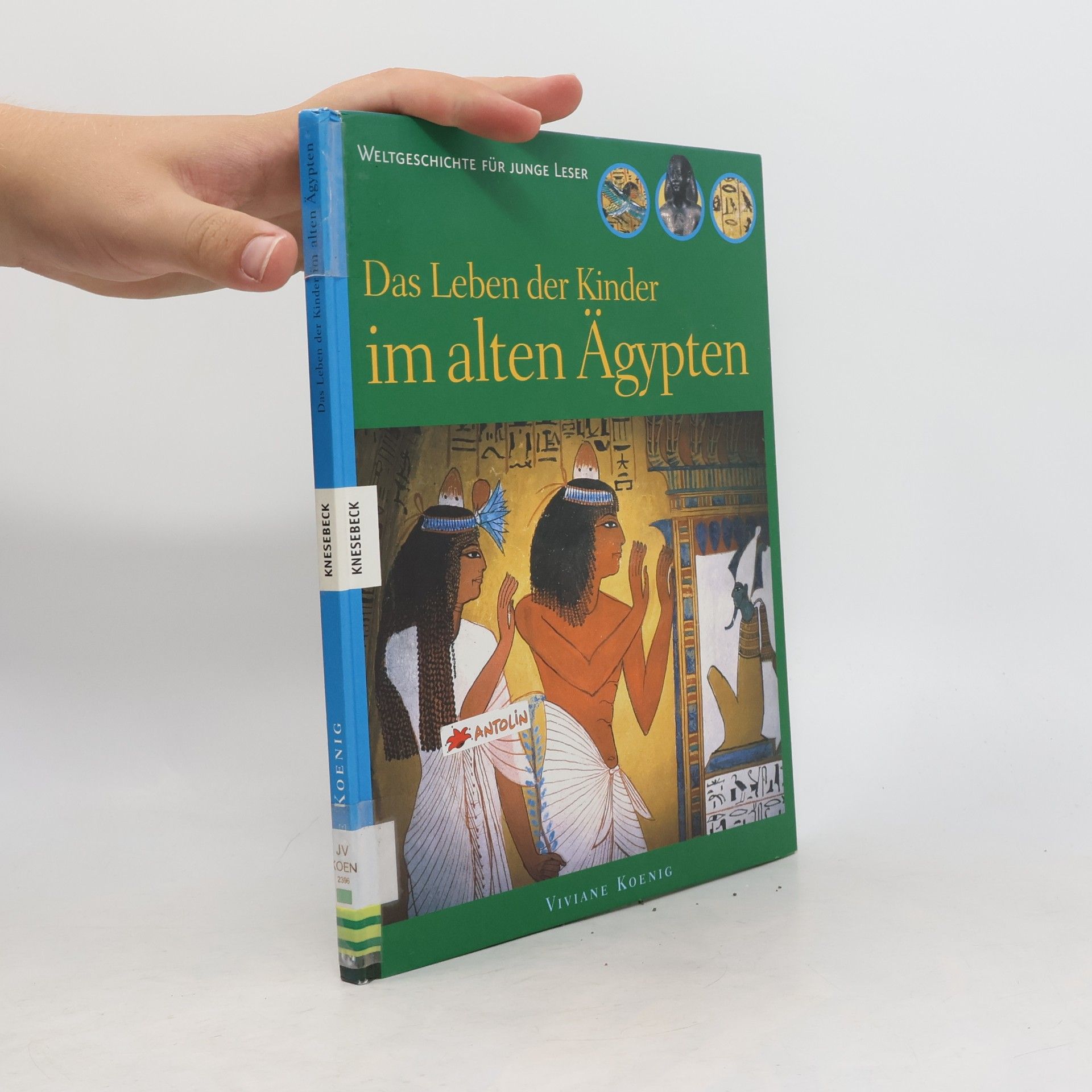 Viviane Koenig Das Leben der Kinder im alten Ägypten