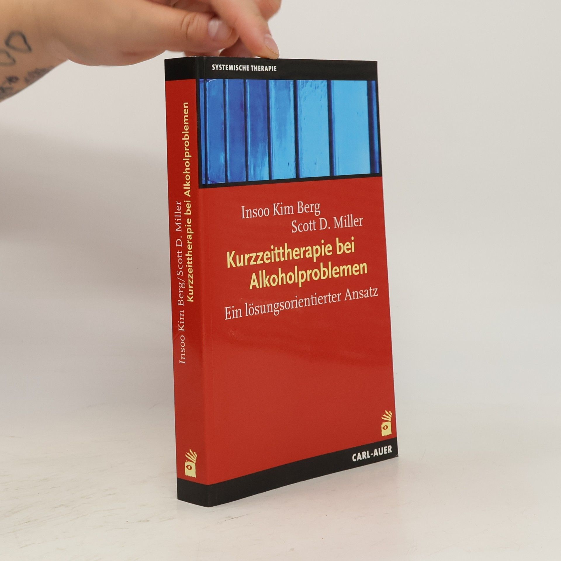 Scott D. Miller Kurzzeittherapie bei Alkoholproblemen