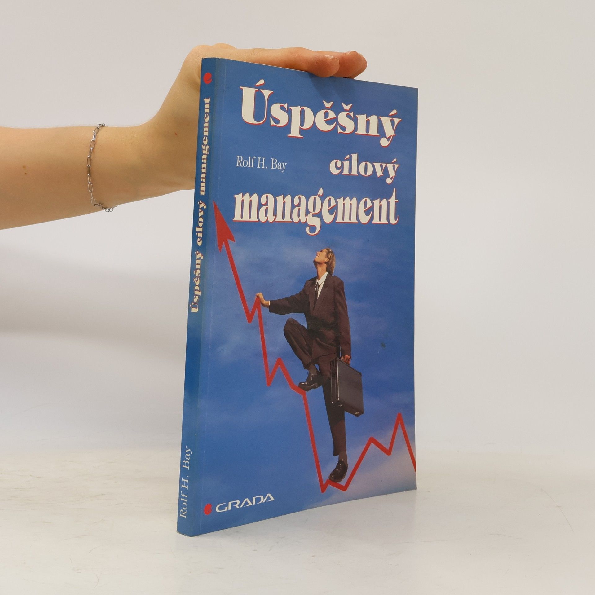 Rolf H. Bay Úspěšný cílový management. Základy cílového managementu pro vedoucí pracovníky