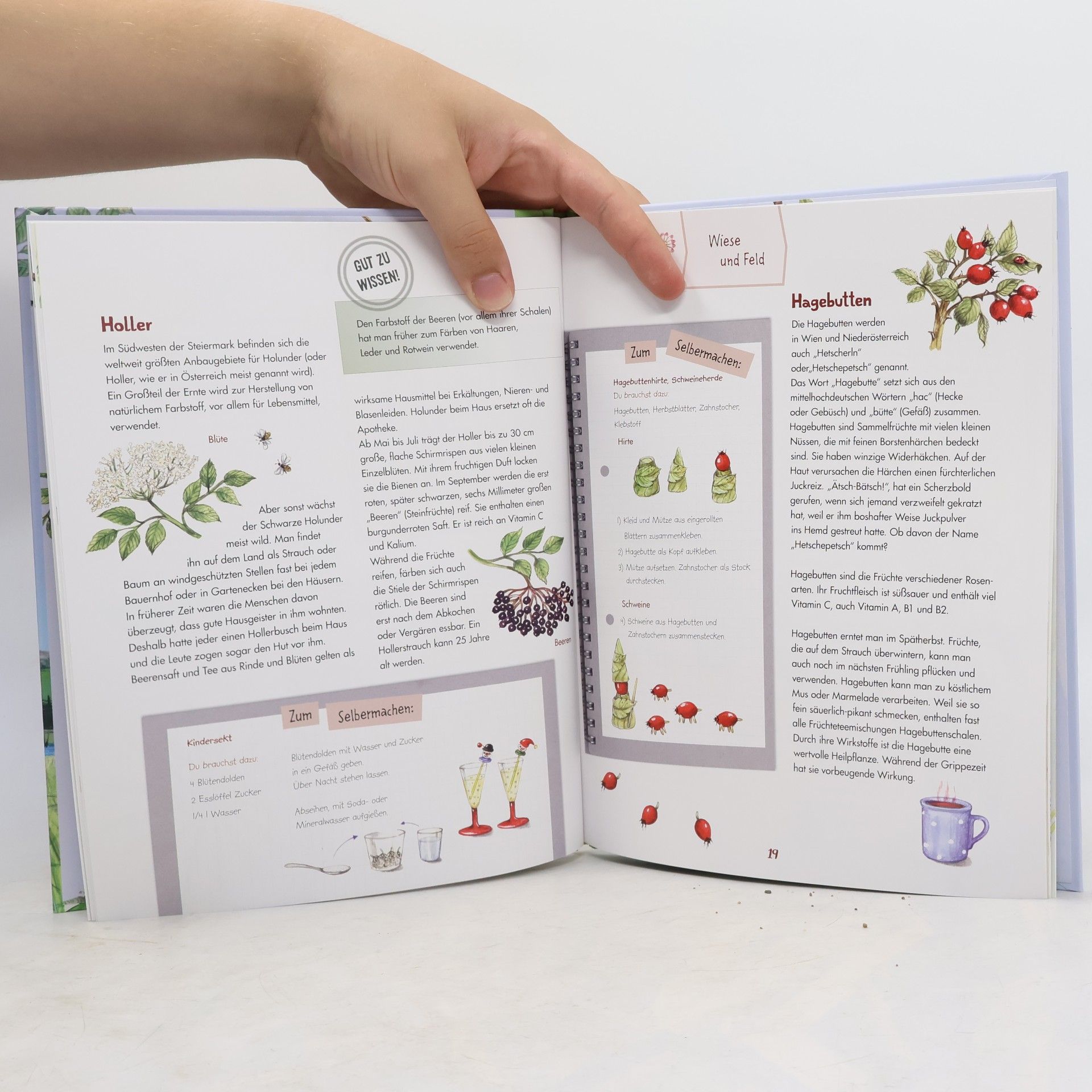 Christine Kettl Mein großes Naturbuch aus Österreich