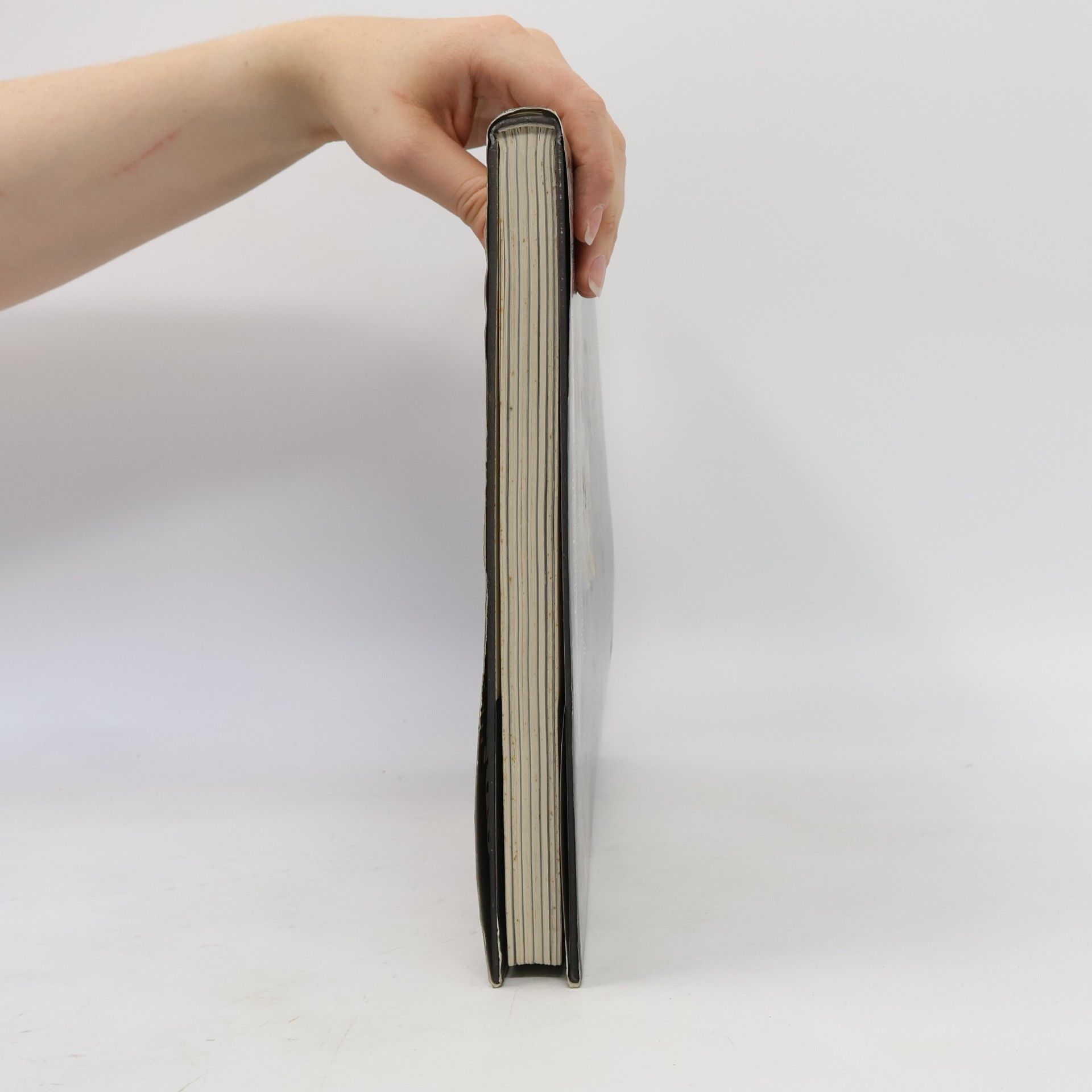 Bartel F. Sinhuber Das grosse Buch vom Wiener Heurigen