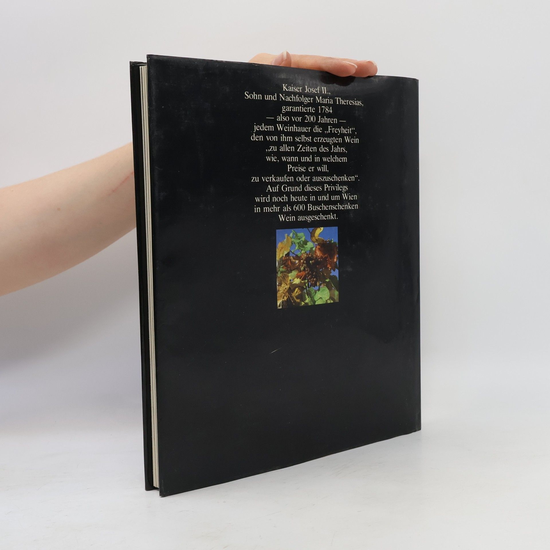 Bartel F. Sinhuber Das grosse Buch vom Wiener Heurigen