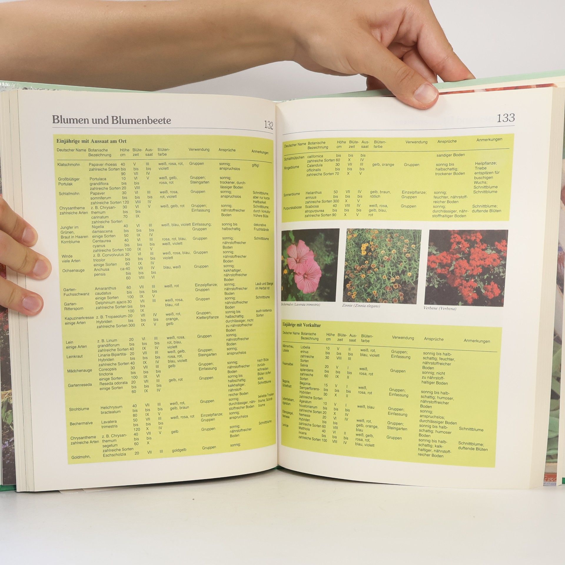 Various authors Mein Garten
