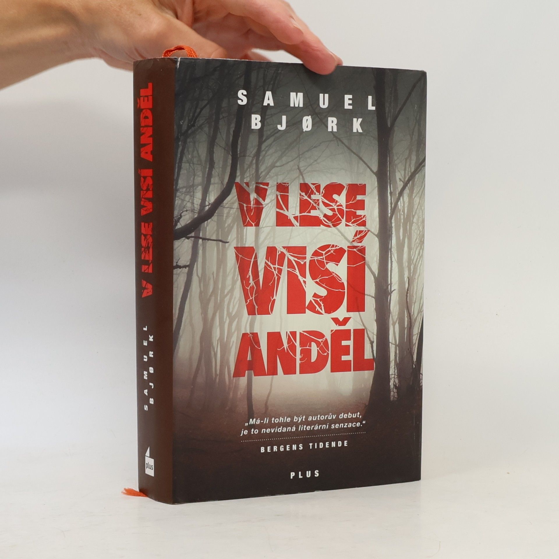Samuel Bjork V lese visí anděl