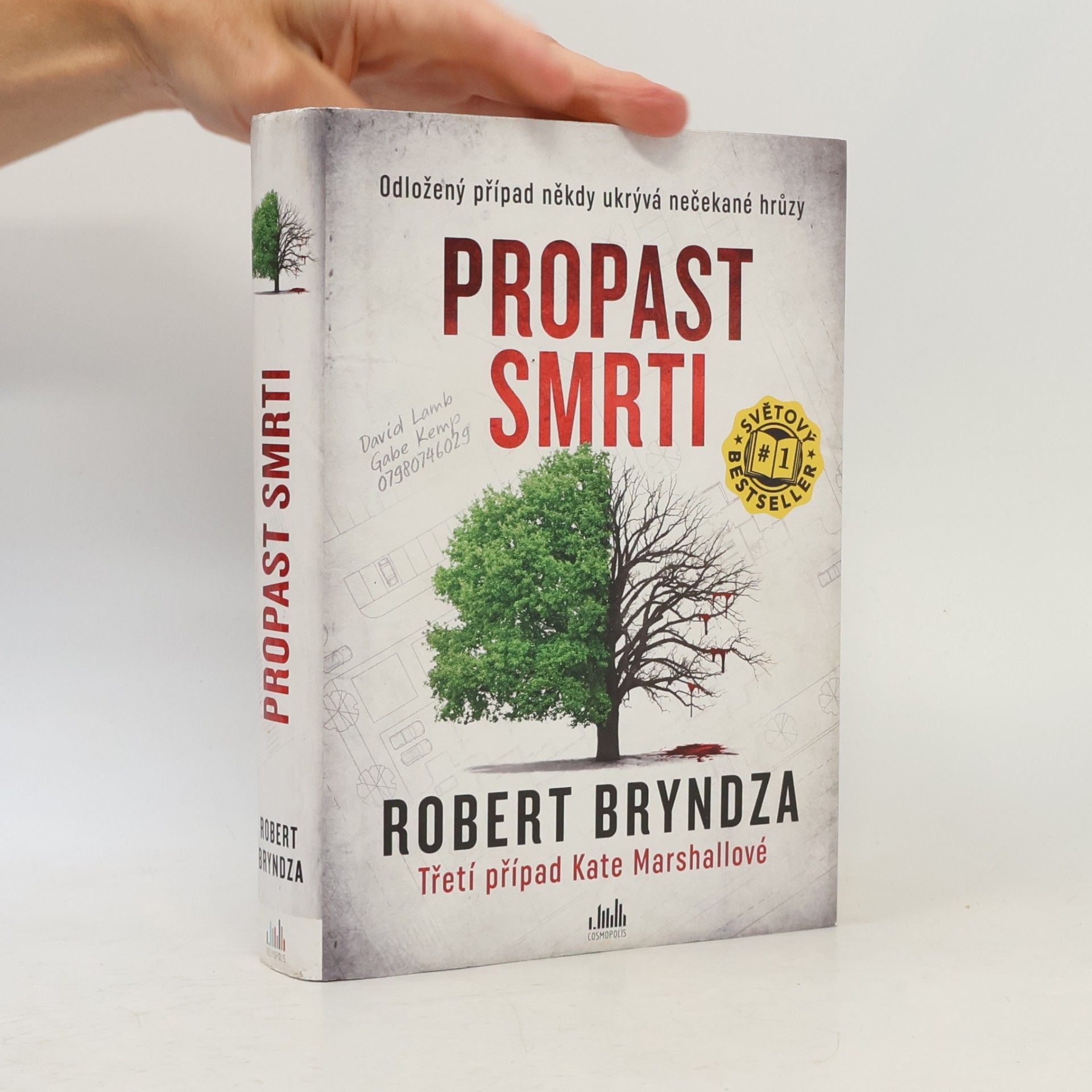 Robert Bryndza Propast smrti