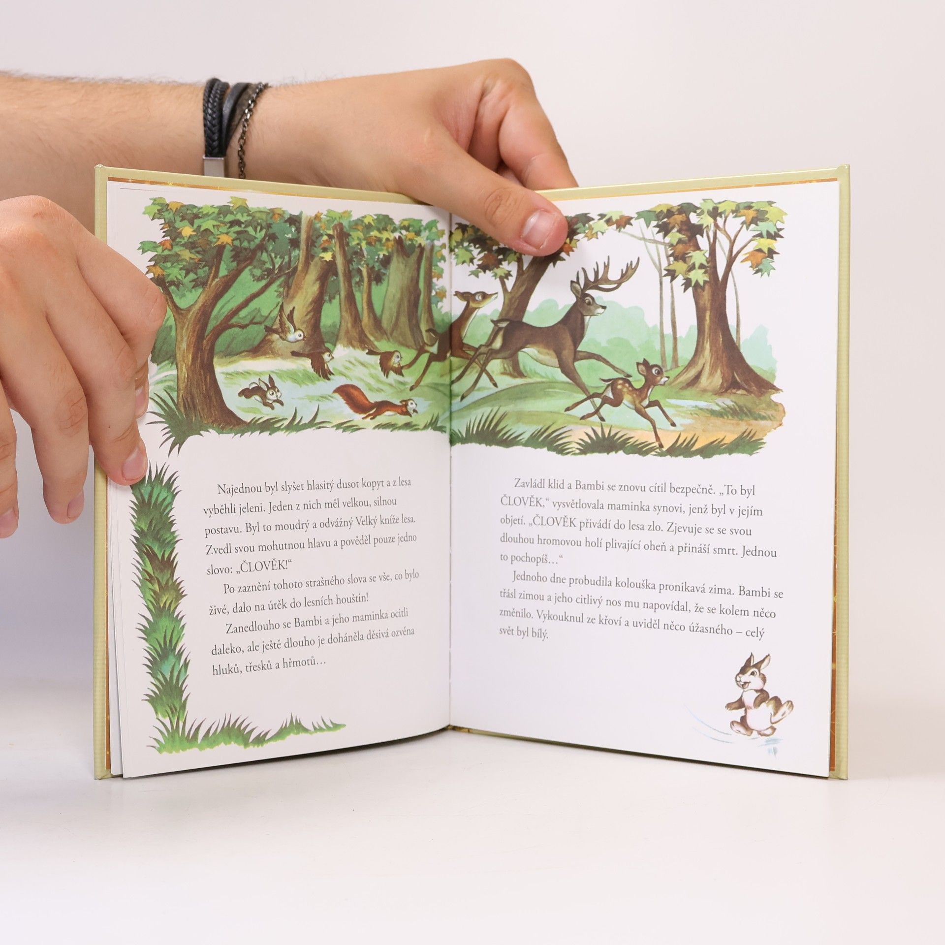 Walt Disney Zlatá sbírka pohádek 4. Bambi
